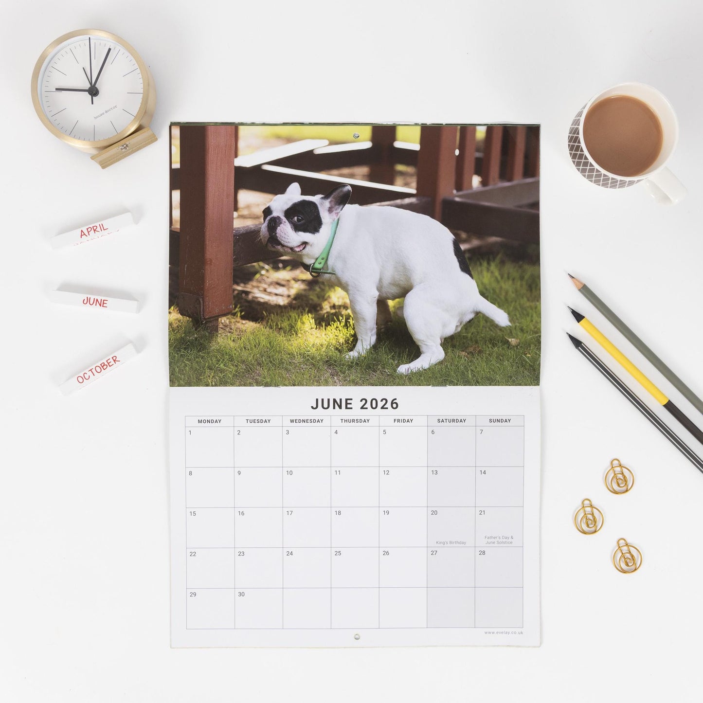 2026 Fun Pooing Dogs Calendar Wall Monthly Planner Staff Rota Secret Santa Gift