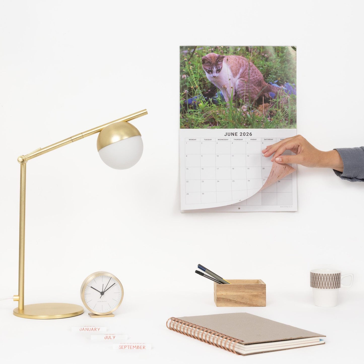 Funny Pooing Cats 2026 Wall Calendar: Monthly Planner