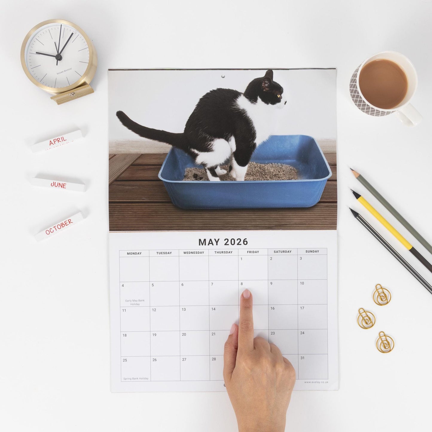 Funny Pooing Cats 2026 Wall Calendar: Monthly Planner