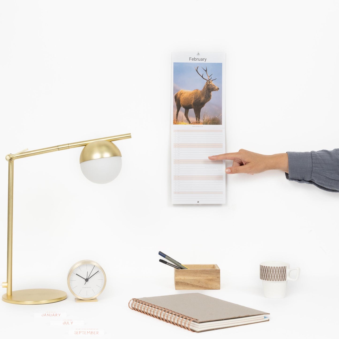 2026 Wildlife Slim Month To View Wall Office Home Planner Organiser Calendar
