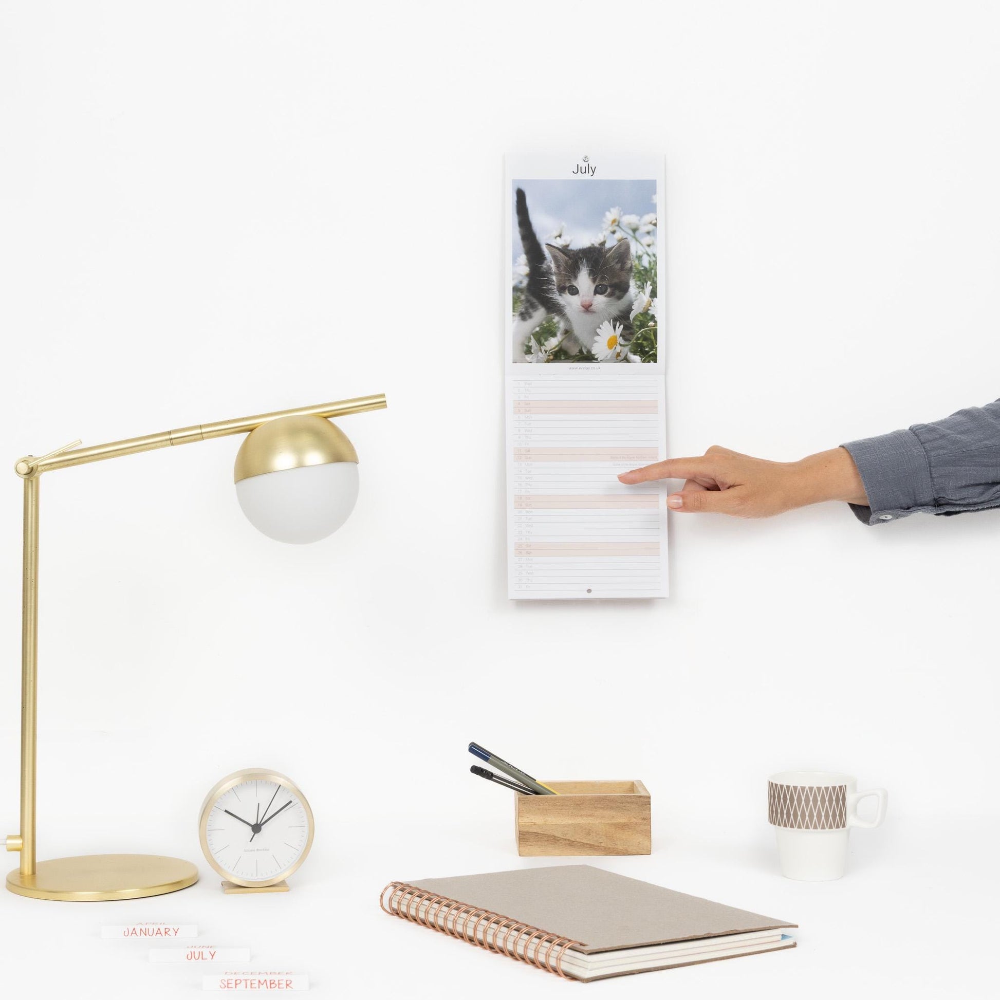 2026 Kittens Slim Wall Calendar Month to View Planner Etsy