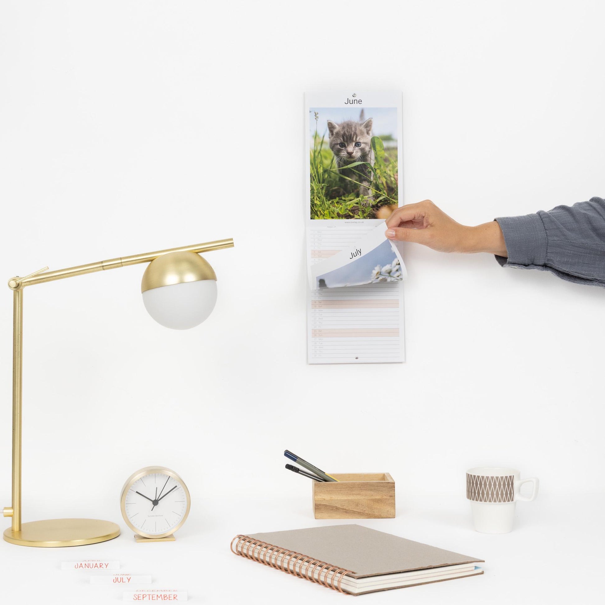 2026 Kittens Slim Wall Calendar Month to View Planner Etsy