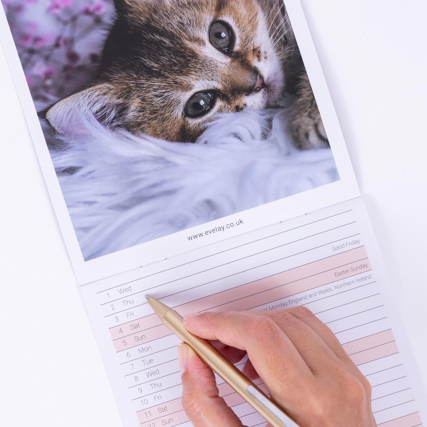 2026 Kittens Slim Wall Calendar Month to View Planner