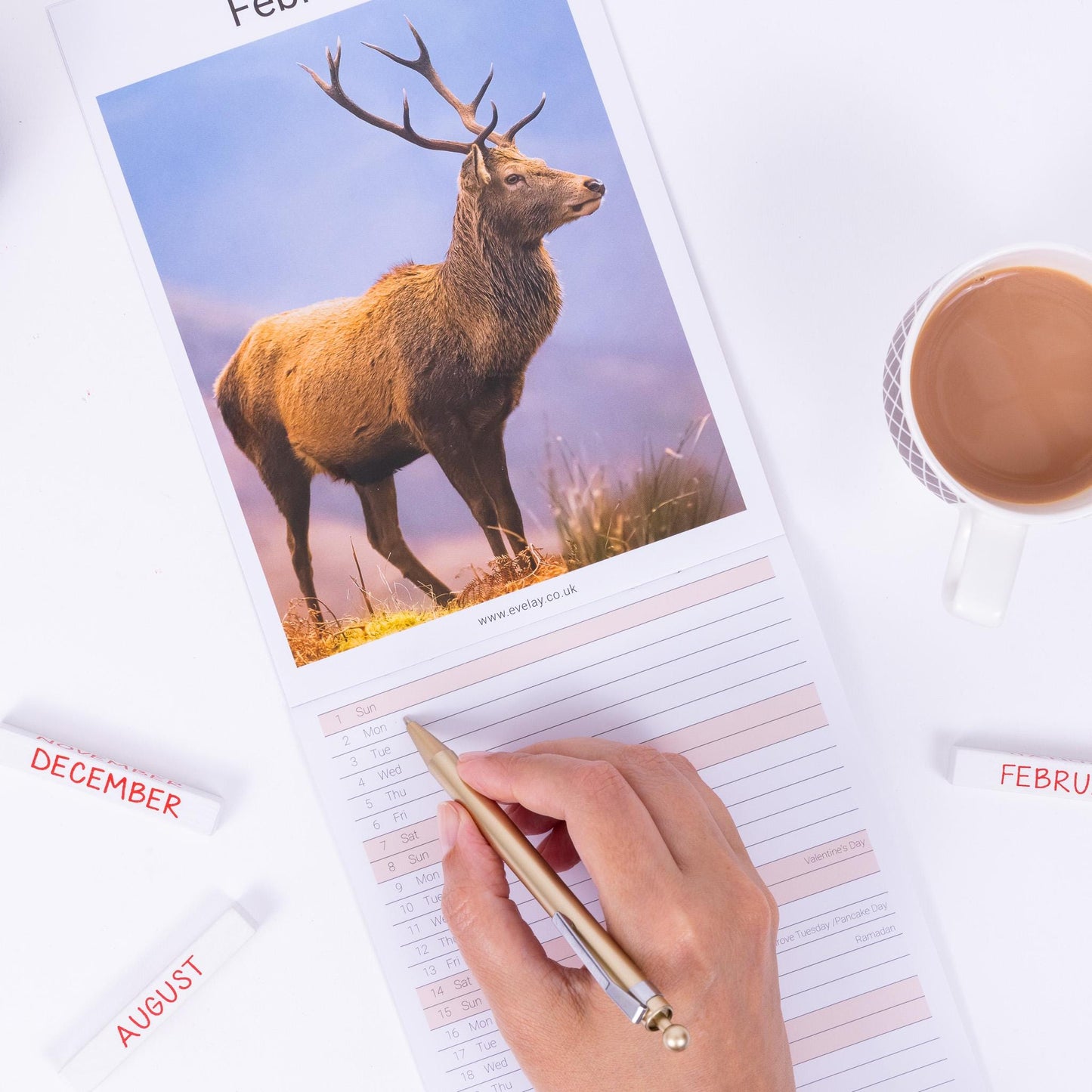 2026 Wildlife Slim Month To View Wall Office Home Planner Organiser Calendar
