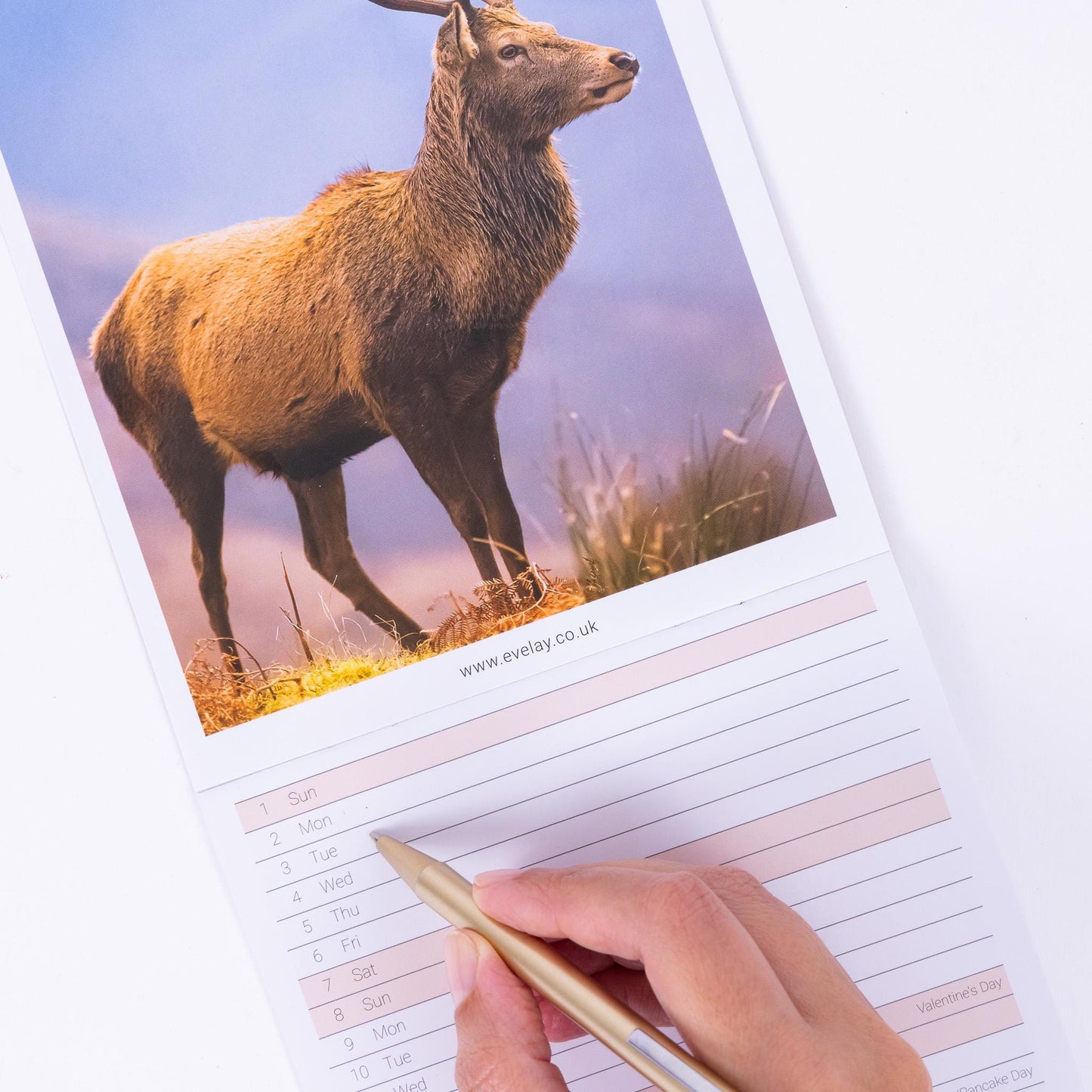 2026 Wildlife Slim Month To View Wall Office Home Planner Organiser Calendar