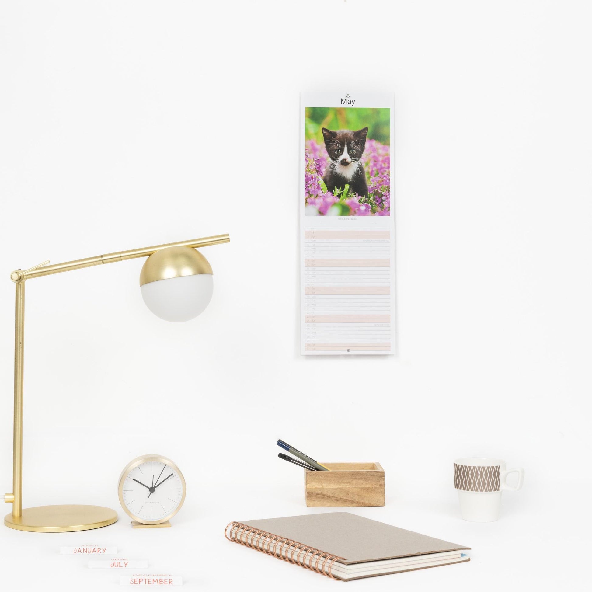 2026 Kittens Slim Wall Calendar Month to View Planner Etsy