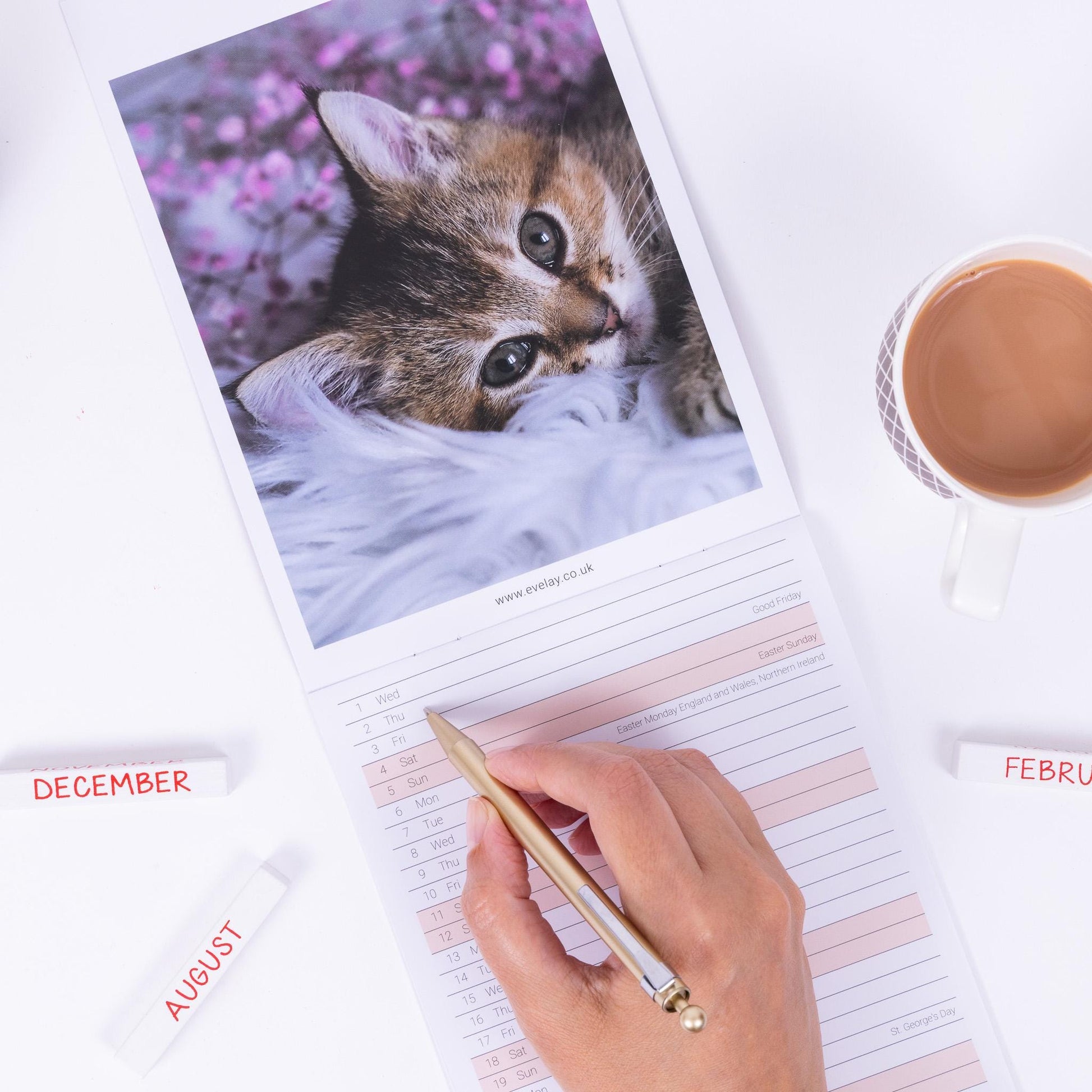 2026 Kittens Slim Wall Calendar Month to View Planner Etsy