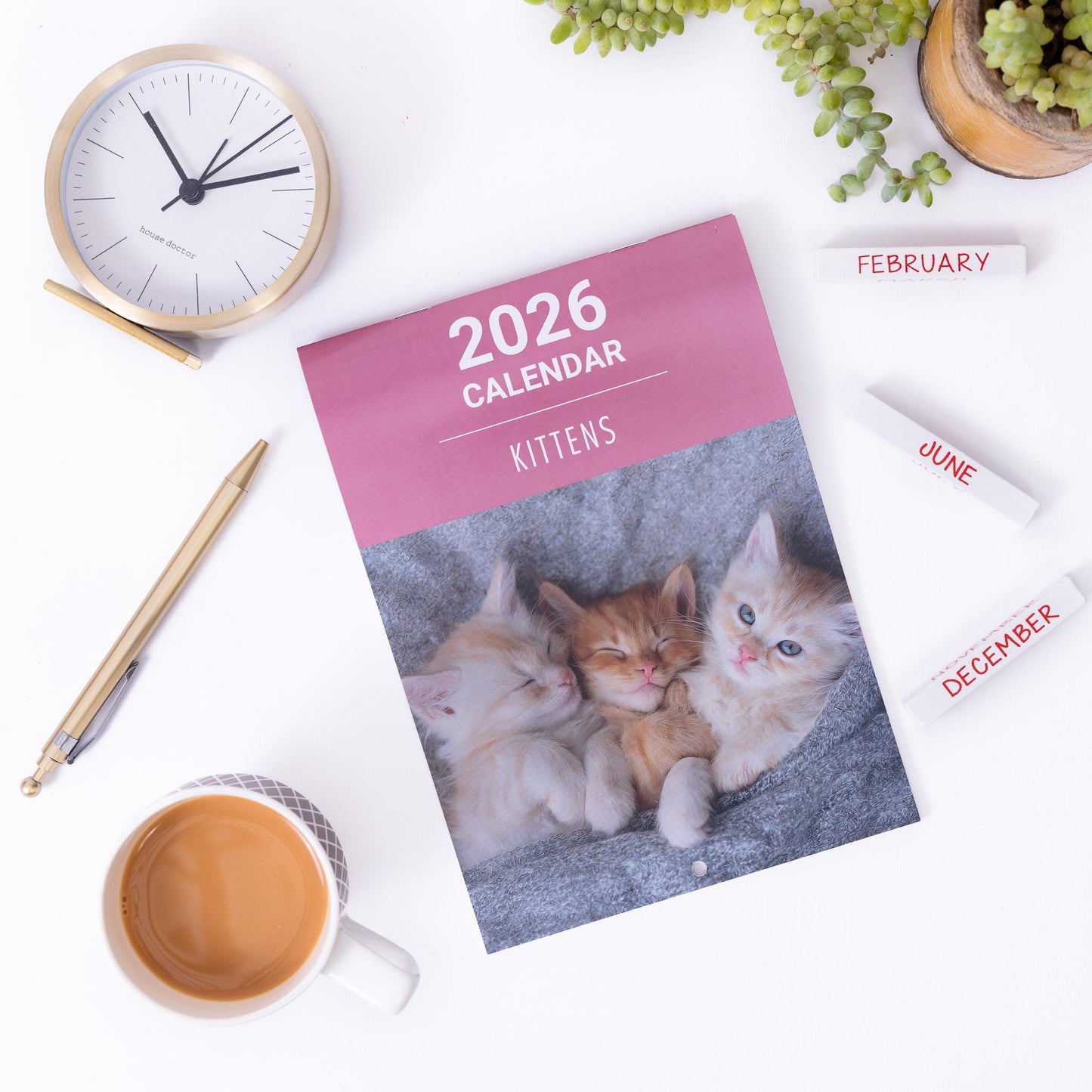2026 Kittens Slim Wall Calendar Month to View Planner