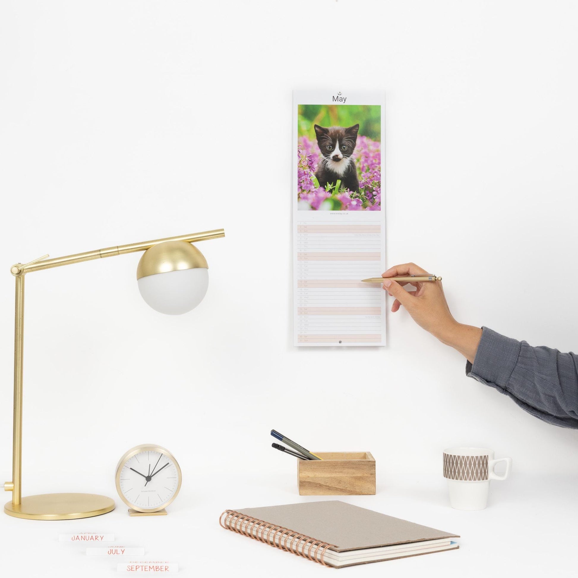 2026 Kittens Slim Wall Calendar Month to View Planner Etsy