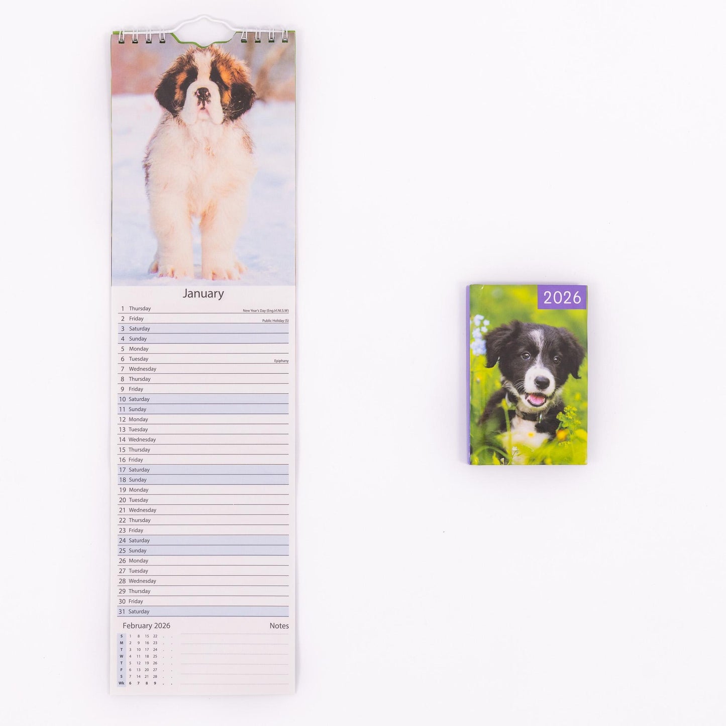 2026 Slim Calendar & Diary Set Planner Spiral Cats Dogs Flowers Garden Scenes