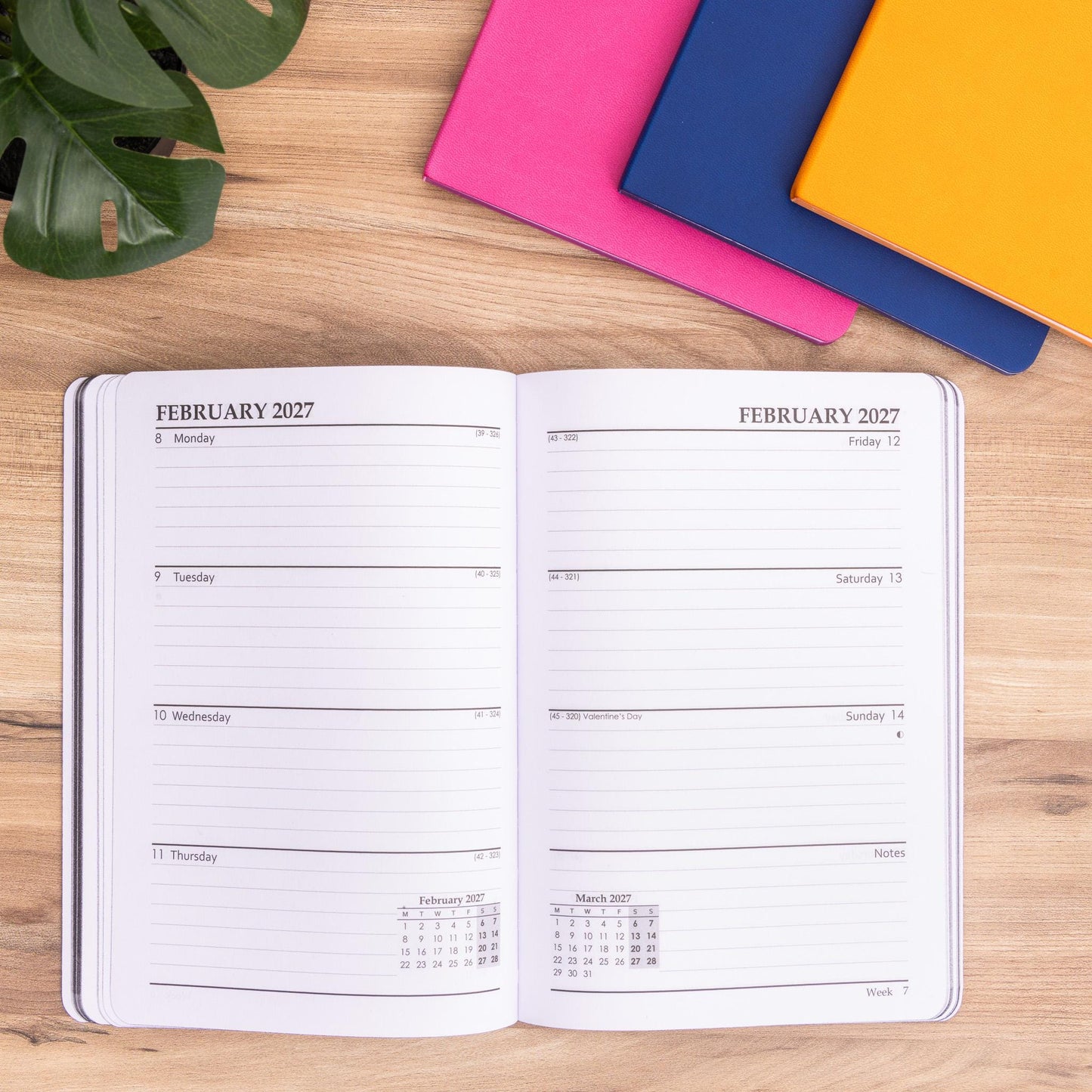 2026-2027 Academic Diary A5 Week to view School Mid Year Felix Softcover Etsy