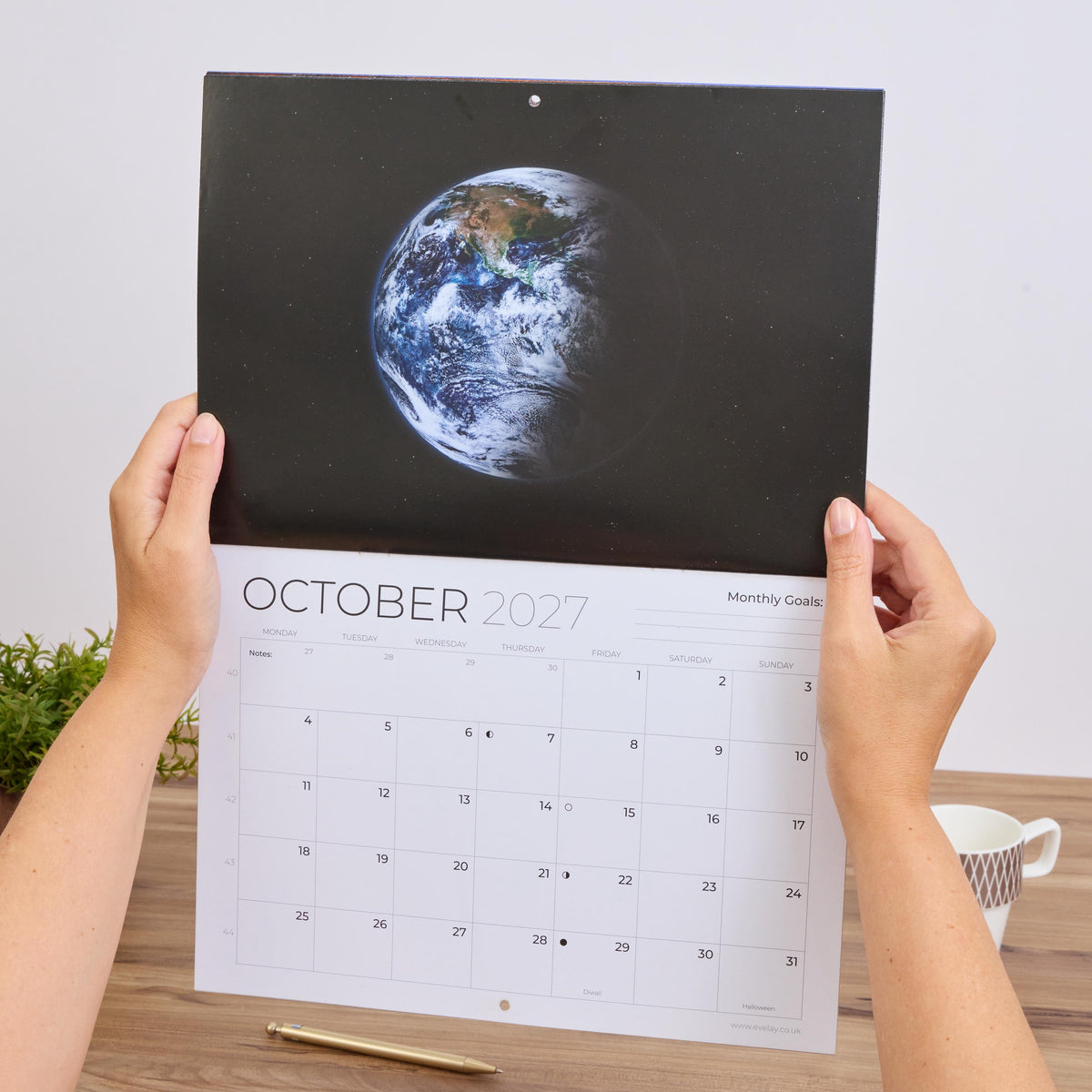2027 Kittens Wall Calendar: Monthly Planner with Note Space Etsy