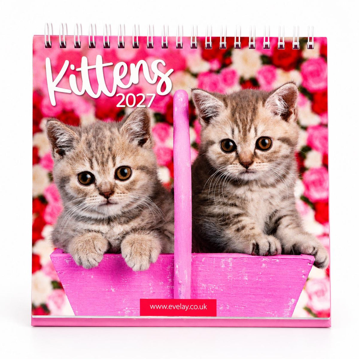 2027 Month to View Desk Calendar Home Office Table Work Top Planner Kittens Etsy
