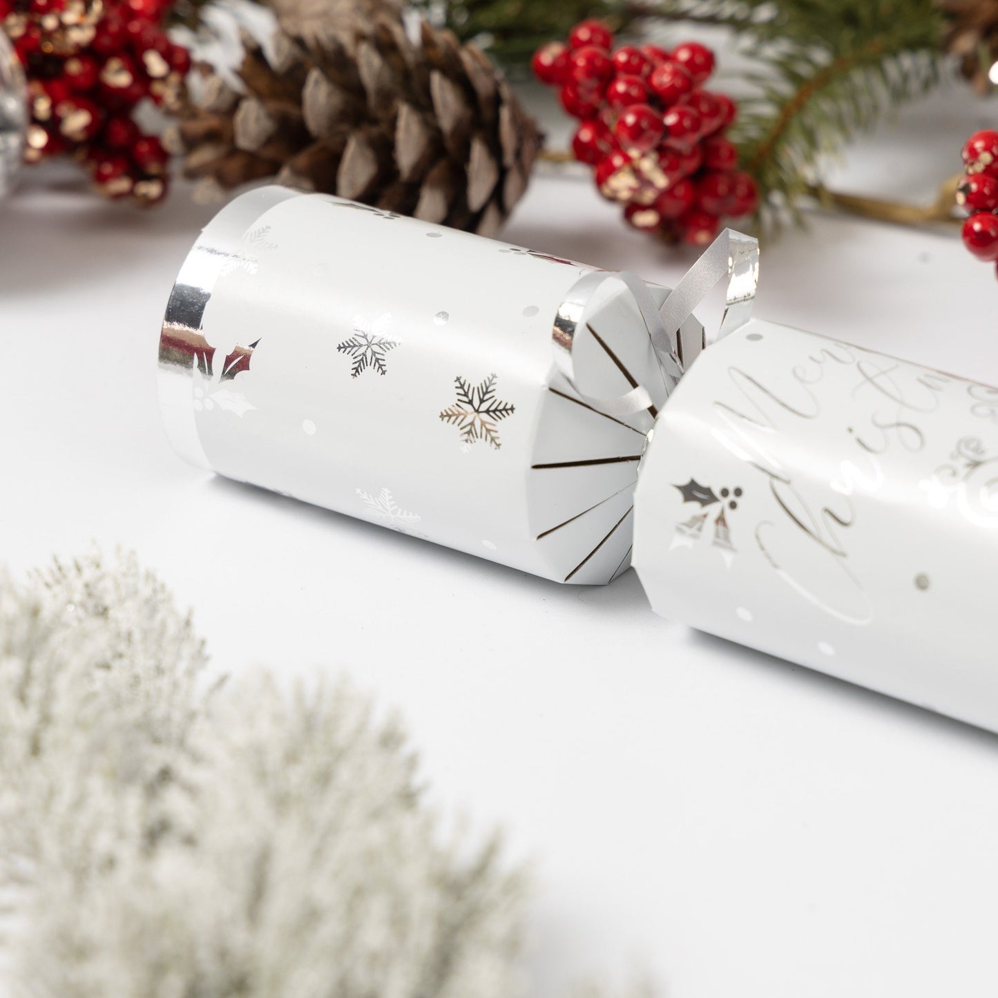 Christmas Cracker Make Your Own kit Crackers Hats Snaps Silver reindeer Keechi & co.