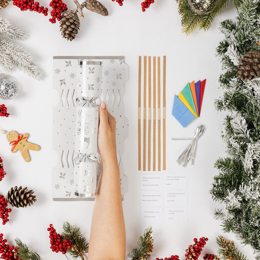 Christmas Cracker Make Your Own kit Crackers Hats Snaps Silver reindeer