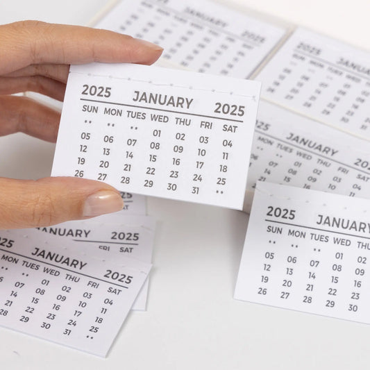 2025 1 to 50 Calendar Tabs  Insert White Mini Calendar Tear Off Pads Month To View Keechi & co.