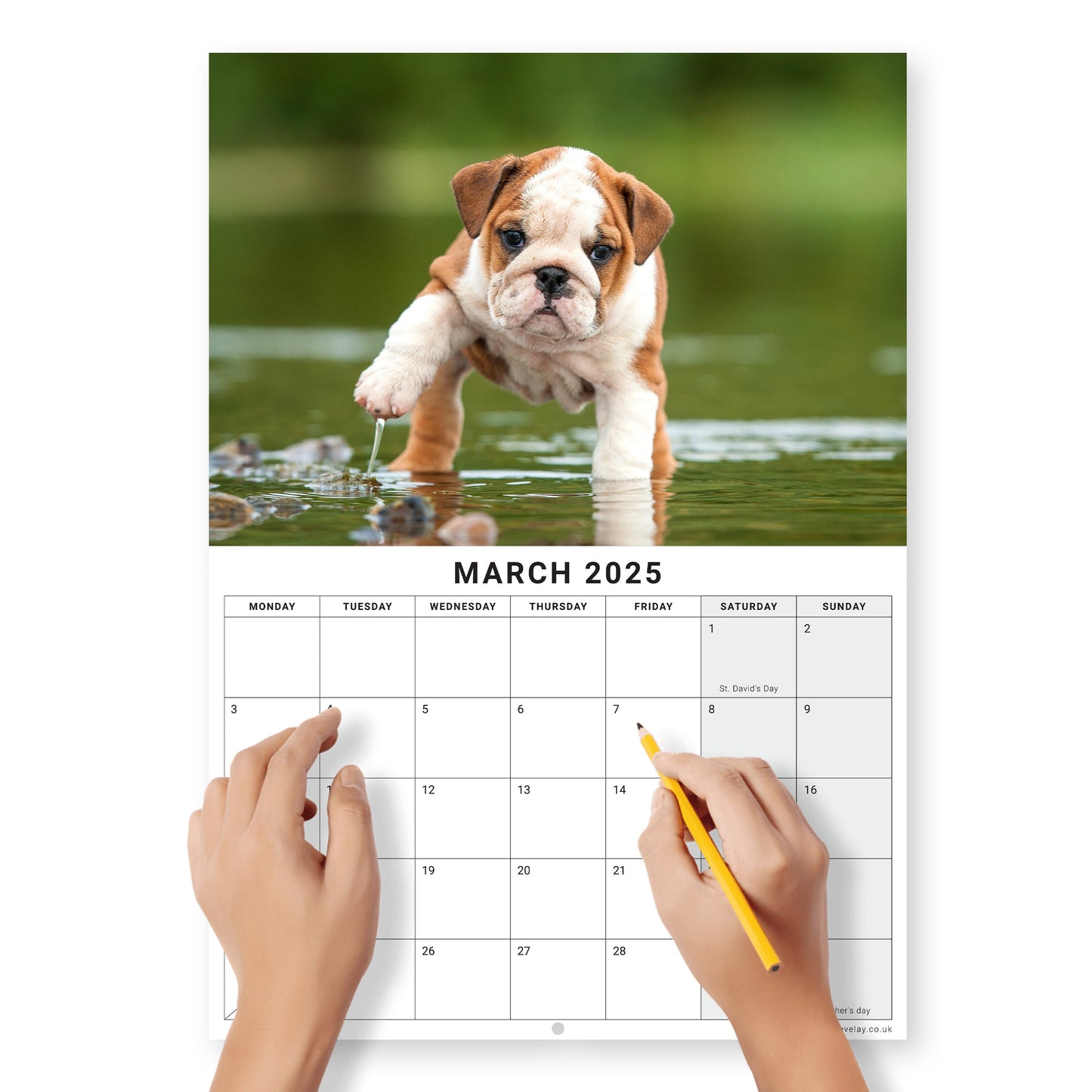 2025 Calendar Puppies Cute Wall Monthly Planner Family Home Organiser 12 Months