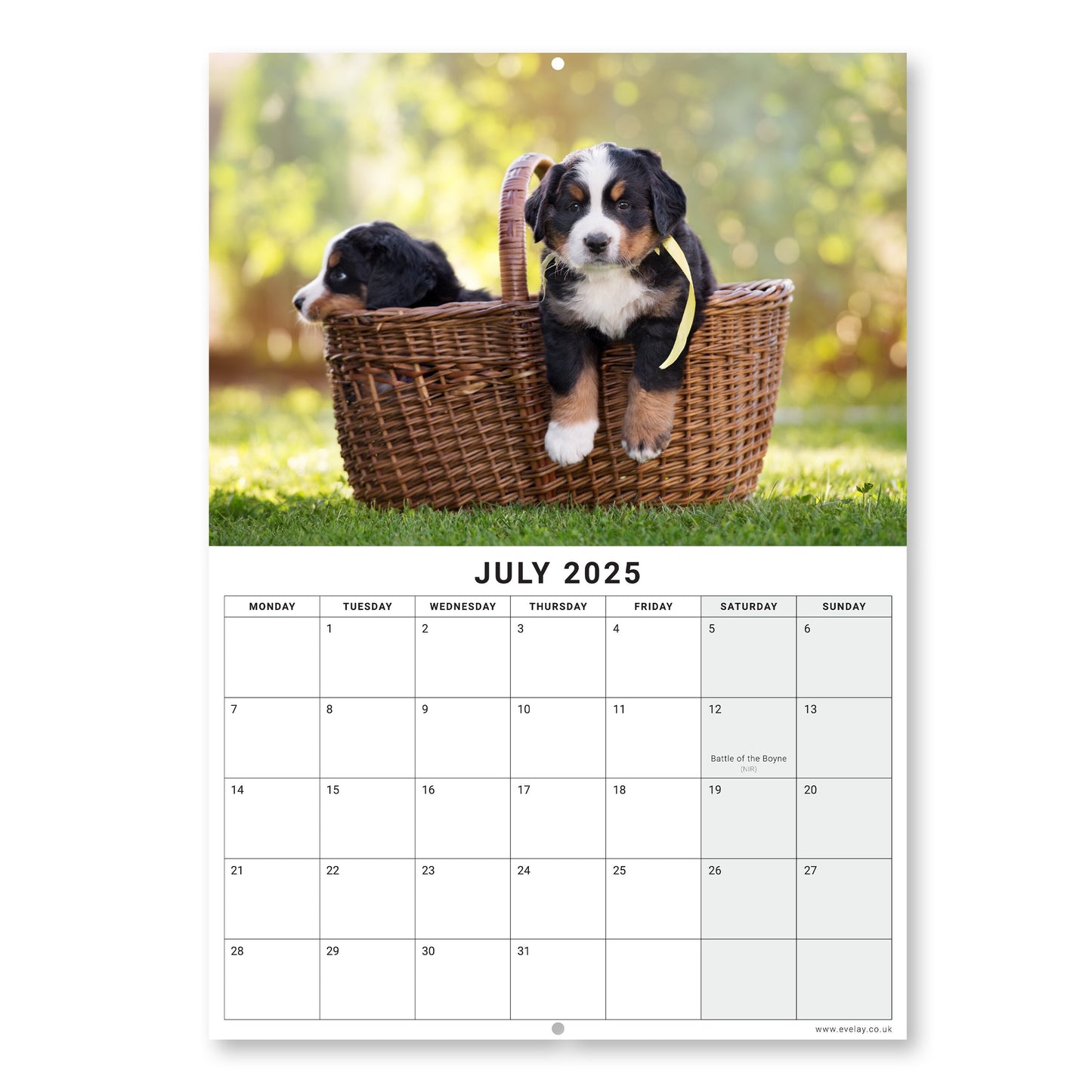 2025 Calendar Puppies Cute Wall Monthly Planner Family Home Organiser 12 Months