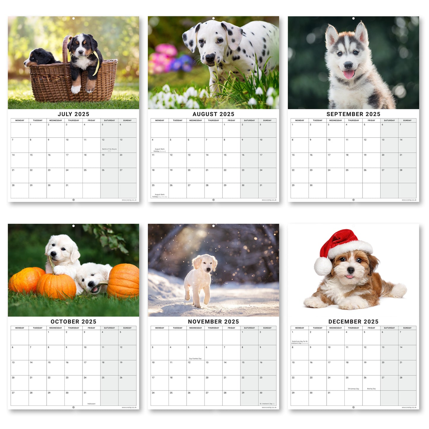 2025 Calendar Puppies Cute Wall Monthly Planner Family Home Organiser 12 Months