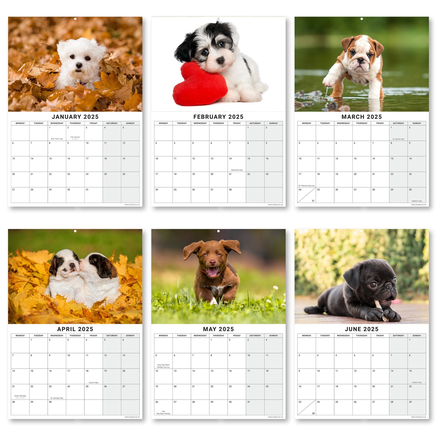 2025 Calendar Puppies Cute Wall Monthly Planner Family Home Organiser 12 Months