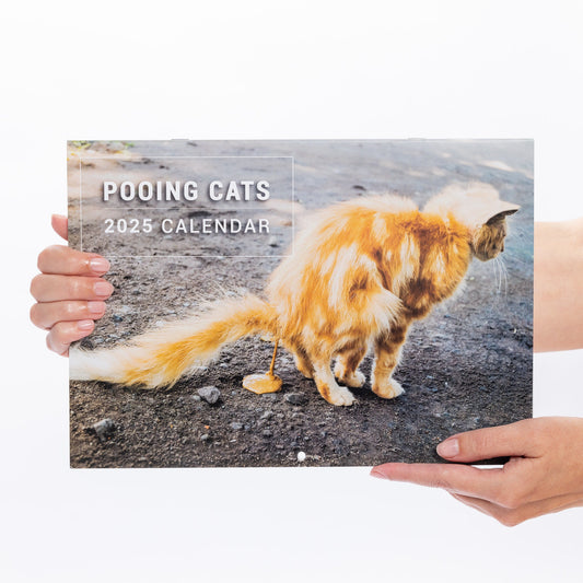 2025 Funny Pooing Cats Calendar Wall Monthly Planner Staff Rota funny staff office planner Christmas stocking filler secret santa