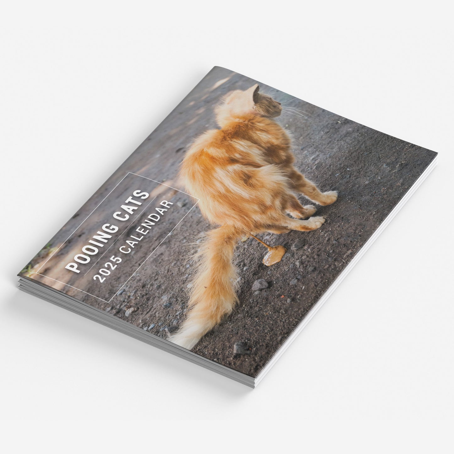 2025 Funny Pooing Cats Calendar: Monthly Wall Planner