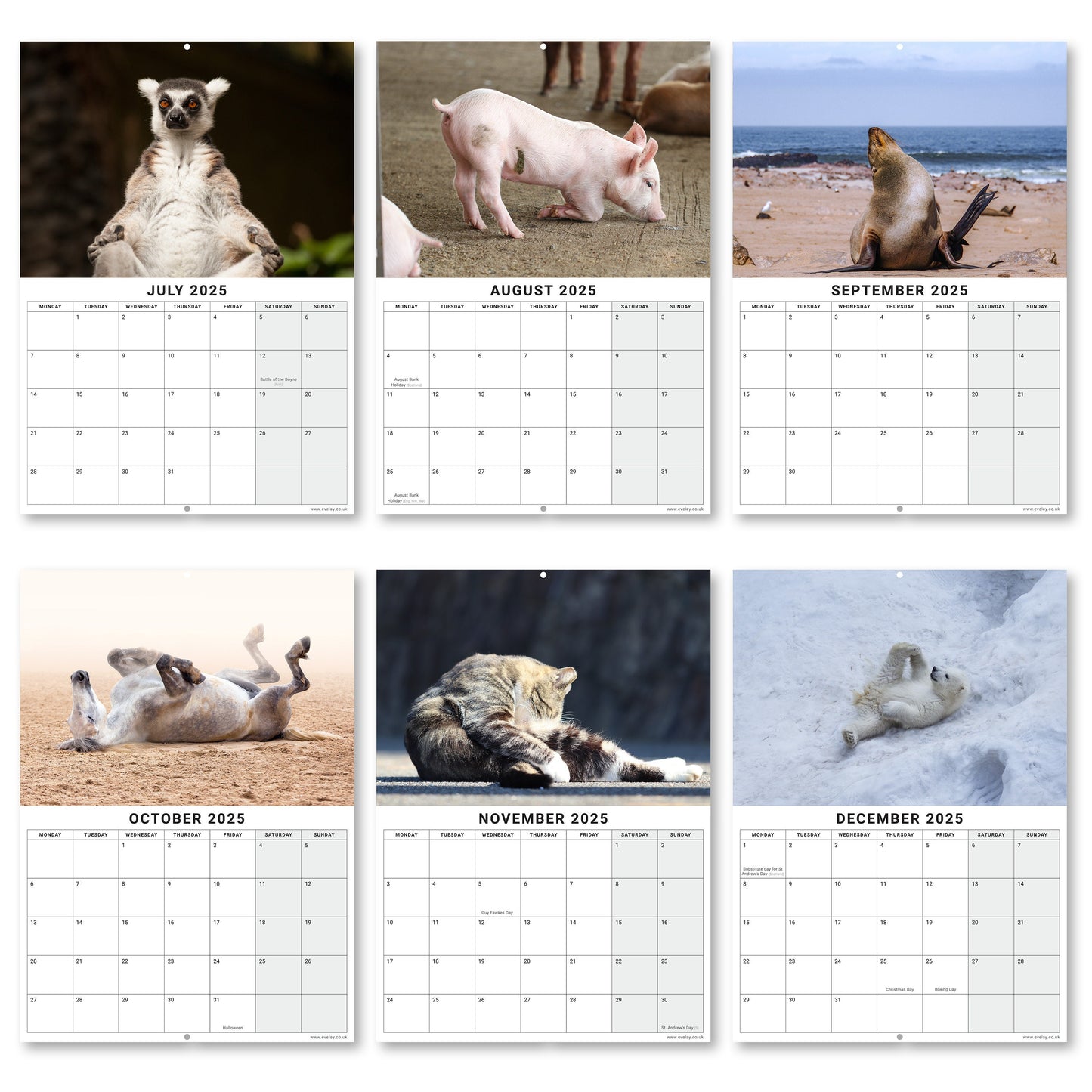2025 Calendar Animal Yoga Wall Monthly Planner Family Home Organiser Funny