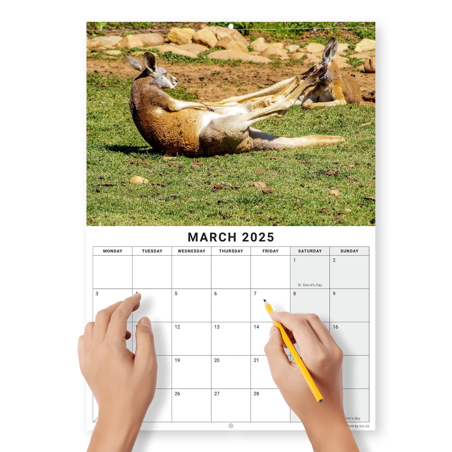 2025 Calendar Animal Yoga Wall Monthly Planner Family Home Organiser Funny