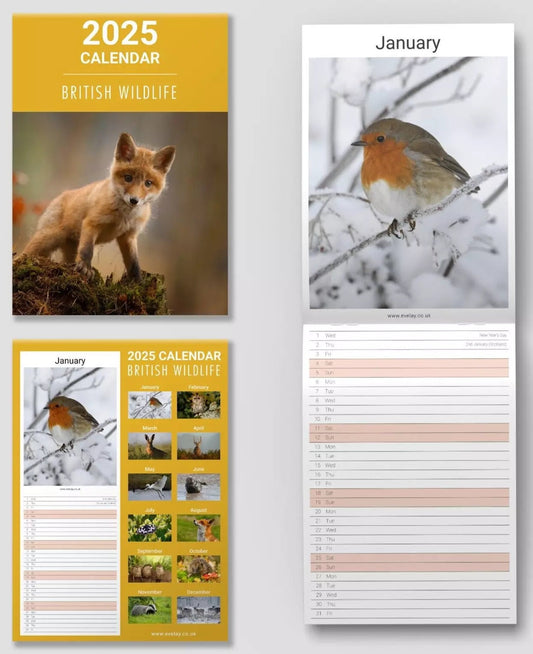 2025 Wildlife Slim Month To View Wall Office Home Planner Organiser Calendar