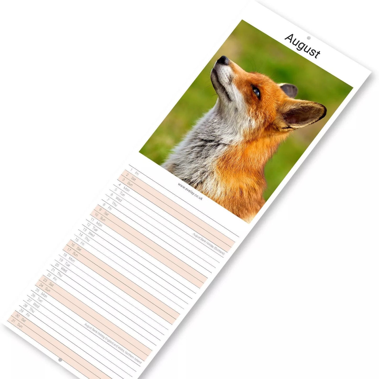 2025 Wildlife Slim Month To View Wall Office Home Planner Organiser Calendar
