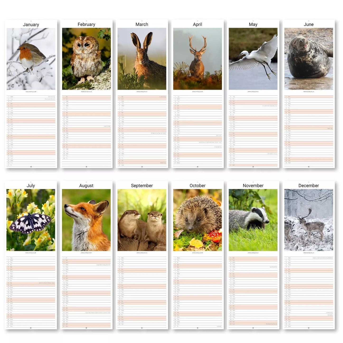 2025 Wildlife Slim Month To View Wall Office Home Planner Organiser Calendar