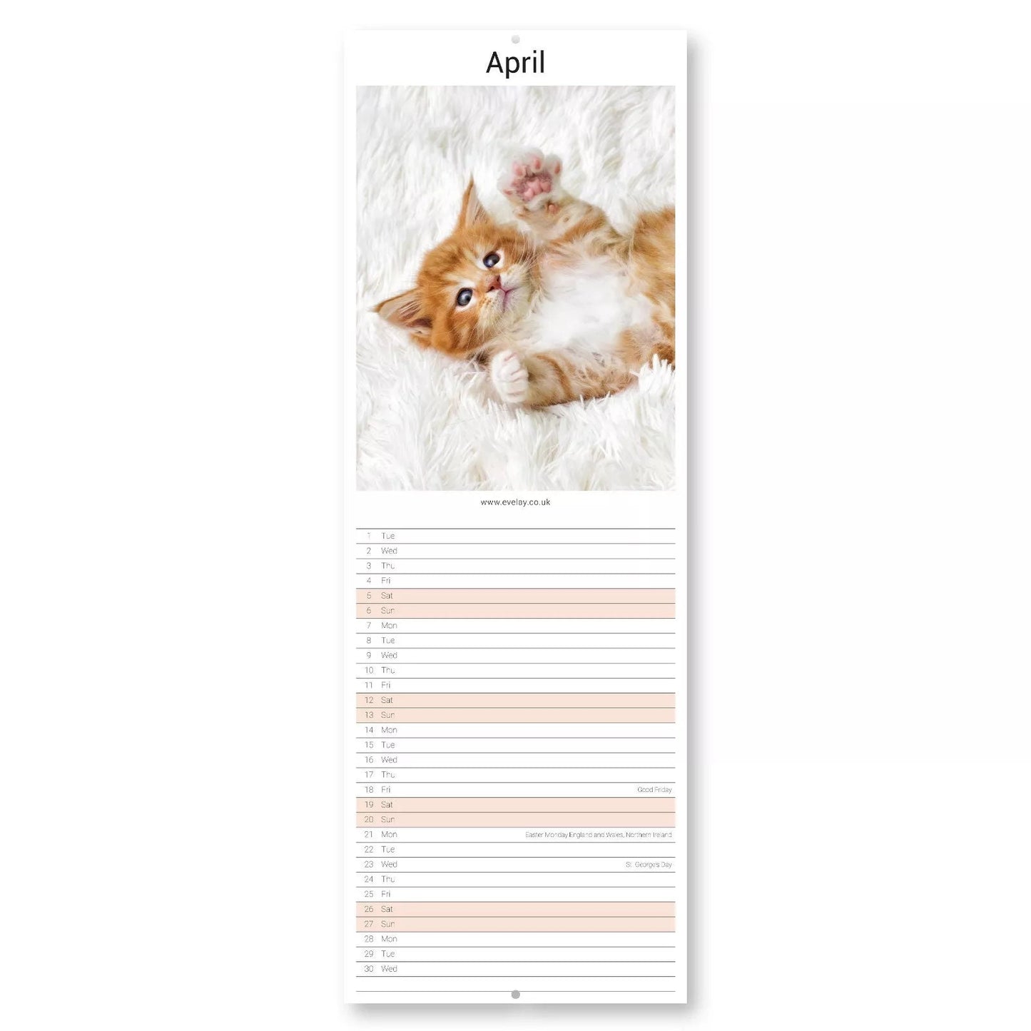 2025 Kittens Cute Slim Month To View Wall Office Home Planner Organiser Calendar