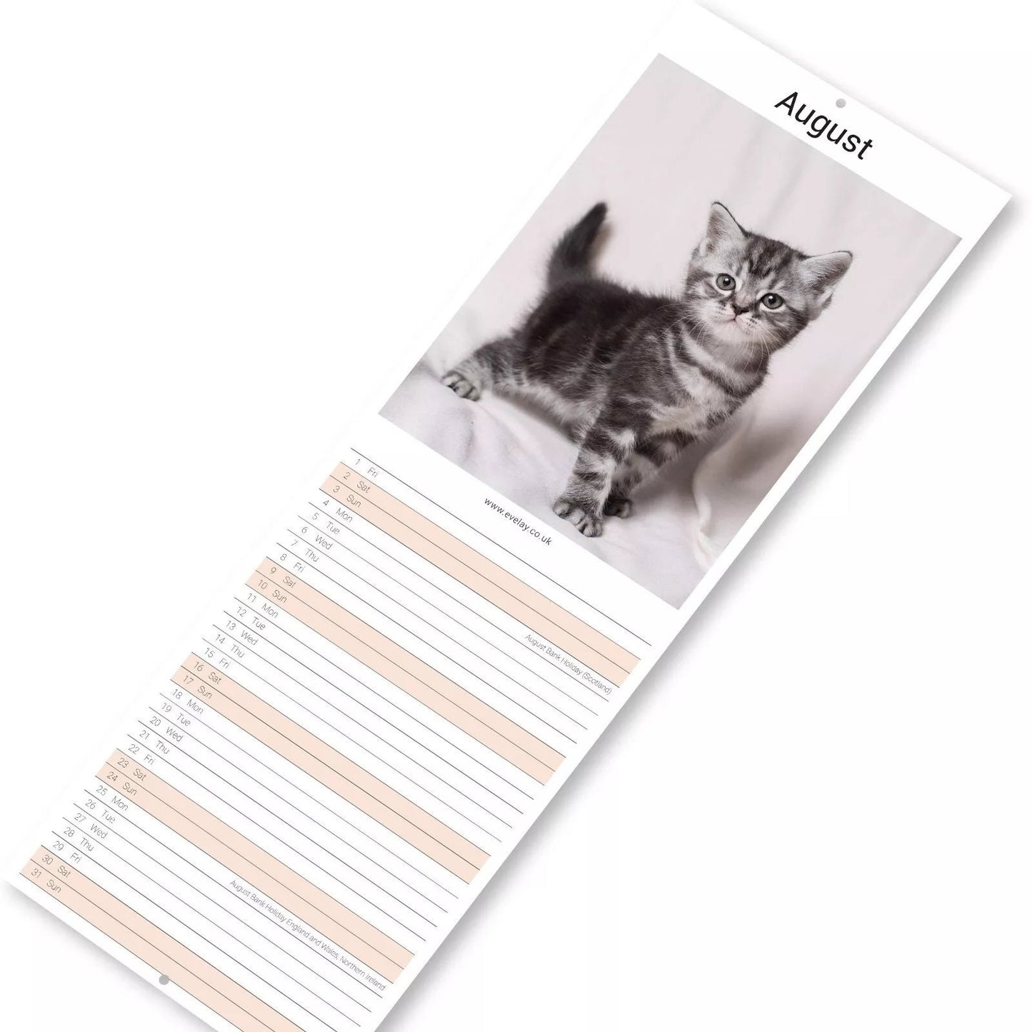 2025 Kittens Cute Slim Month To View Wall Office Home Planner Organiser Calendar