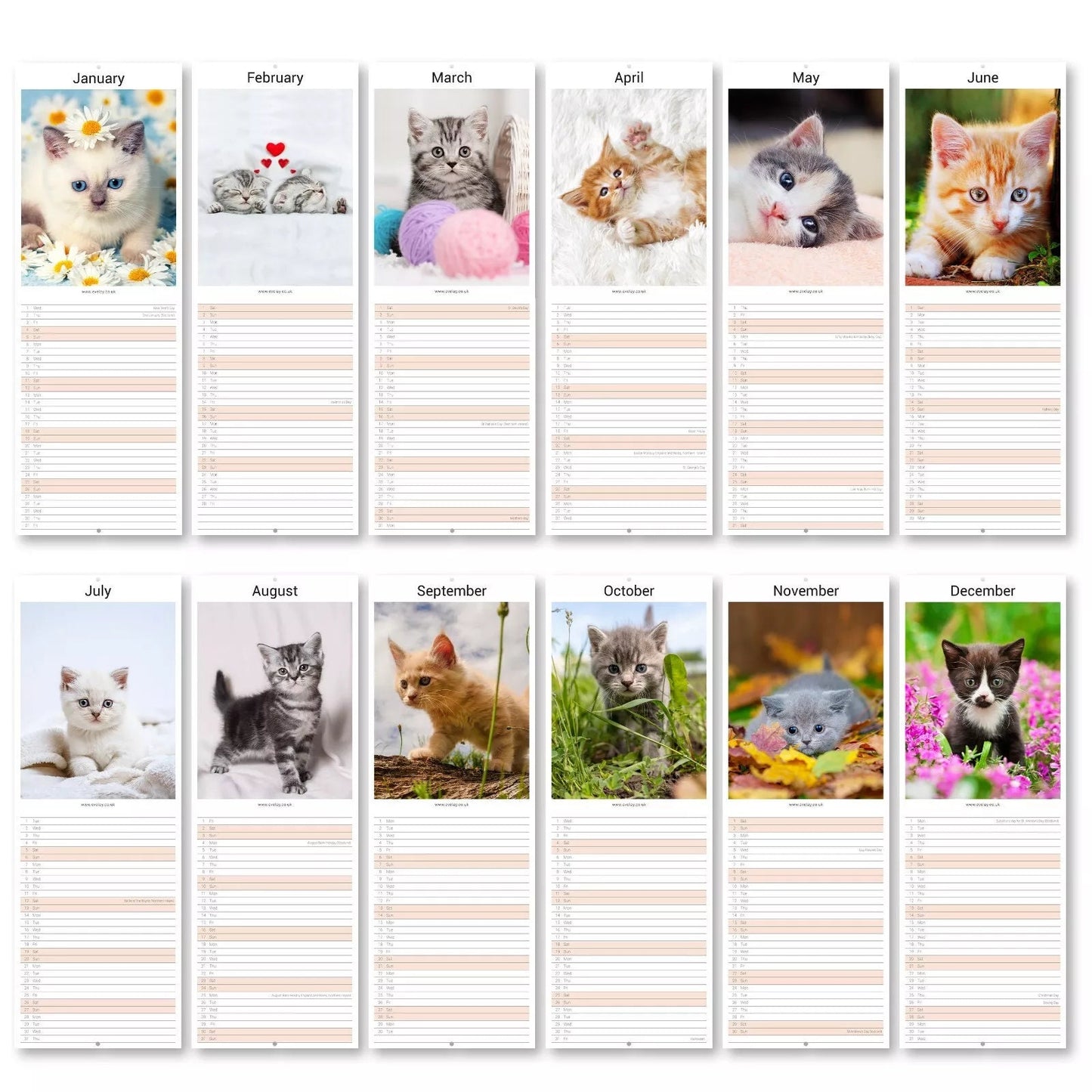 2025 Kittens Cute Slim Month To View Wall Office Home Planner Organiser Calendar