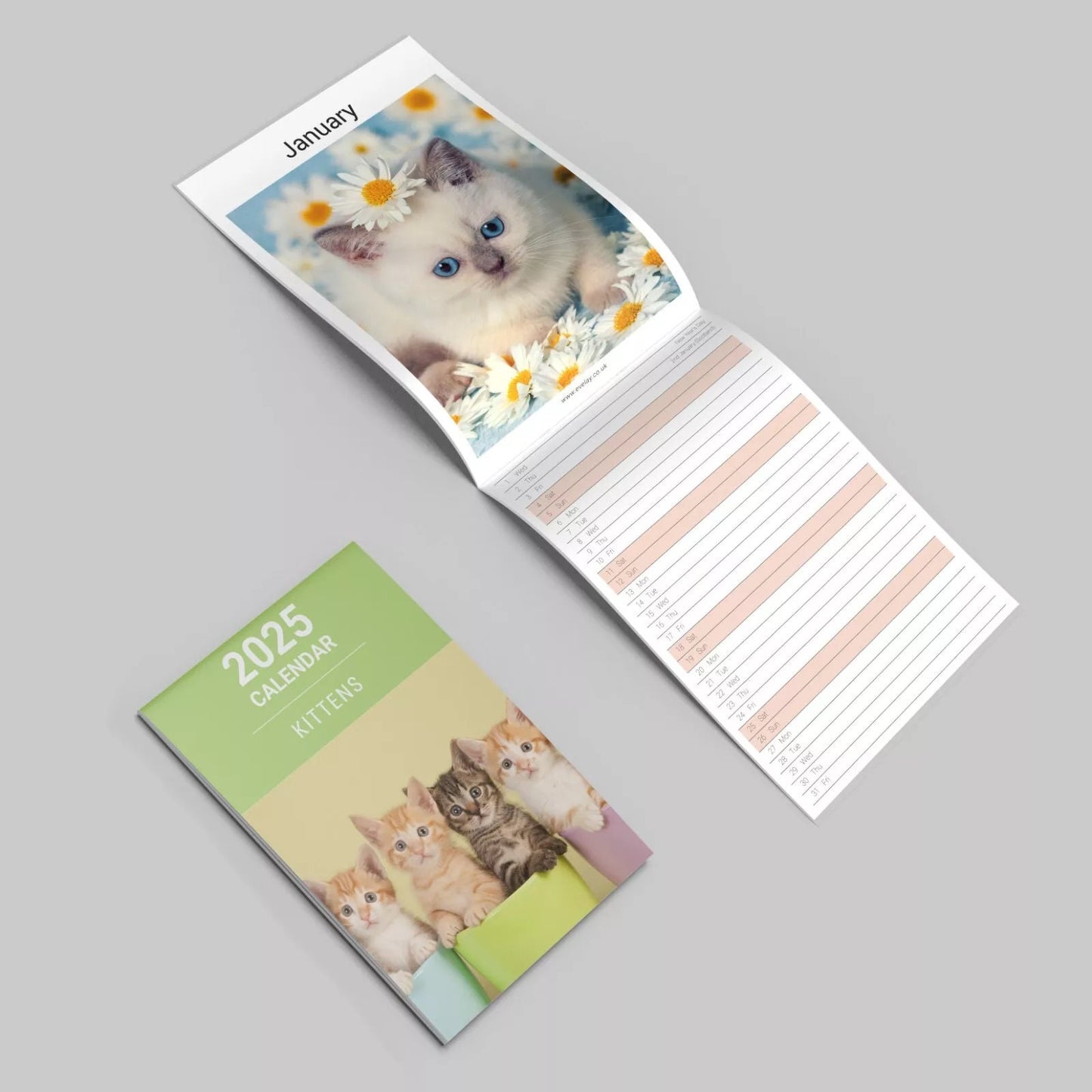 2025 Kittens Cute Slim Month To View Wall Office Home Planner Organiser Calendar