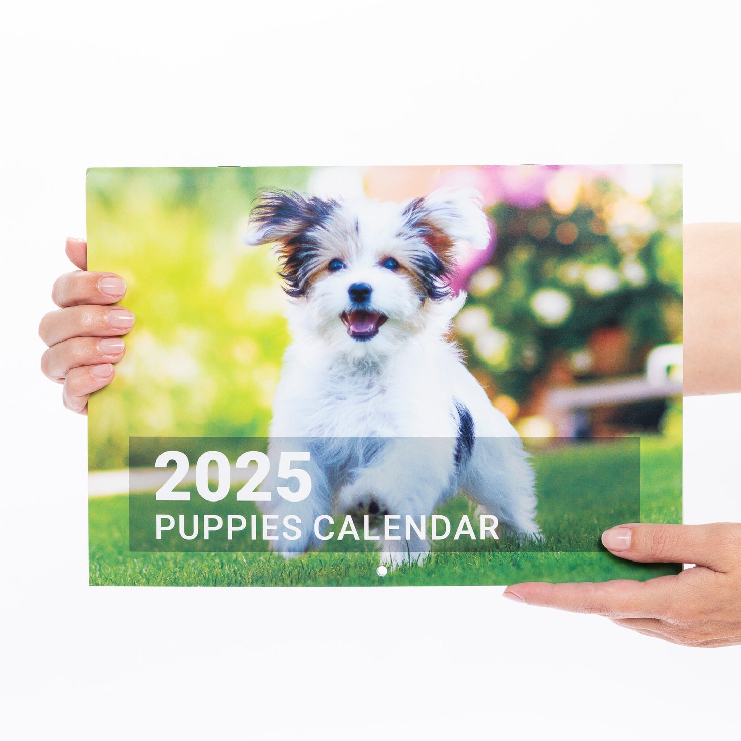 2025 Calendar Puppies Cute Wall Monthly Planner Family Home Organiser 12 Months