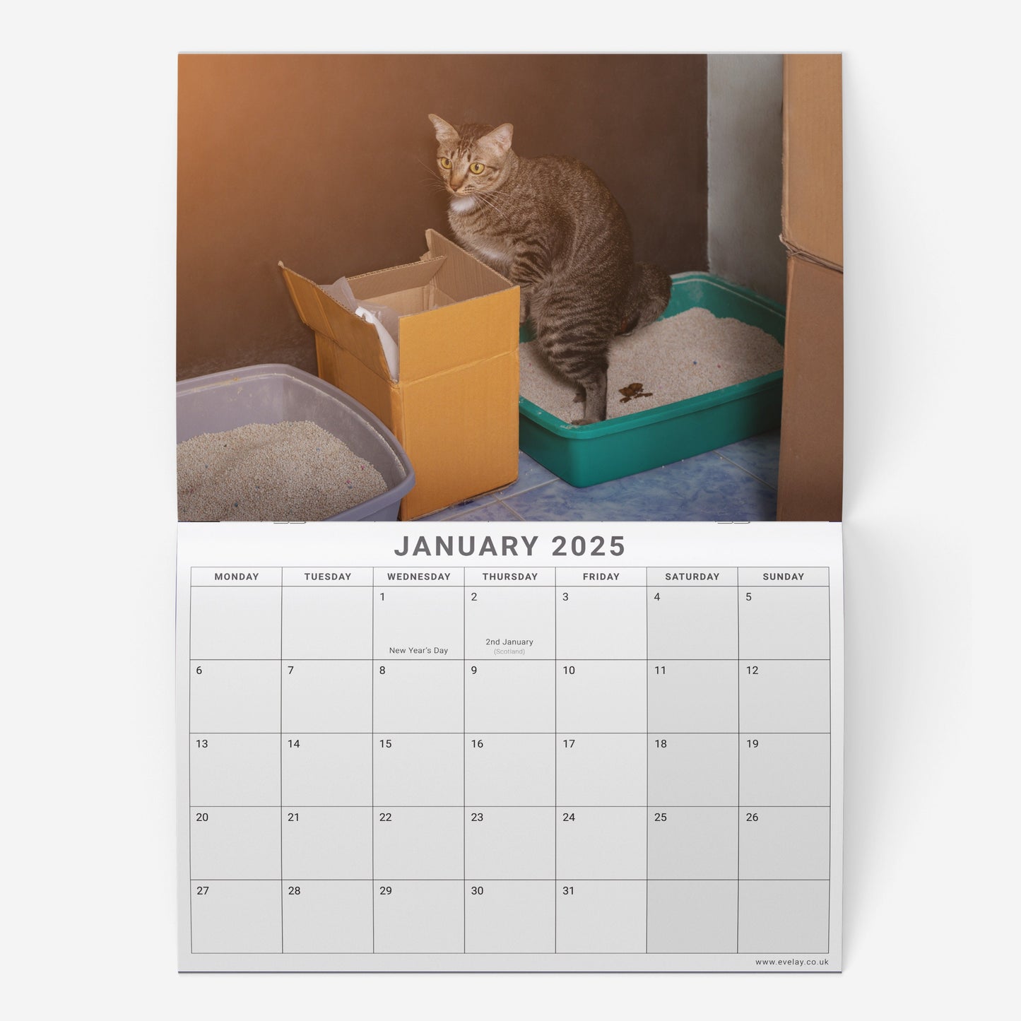 2025 Funny Pooing Cats Calendar: Monthly Wall Planner
