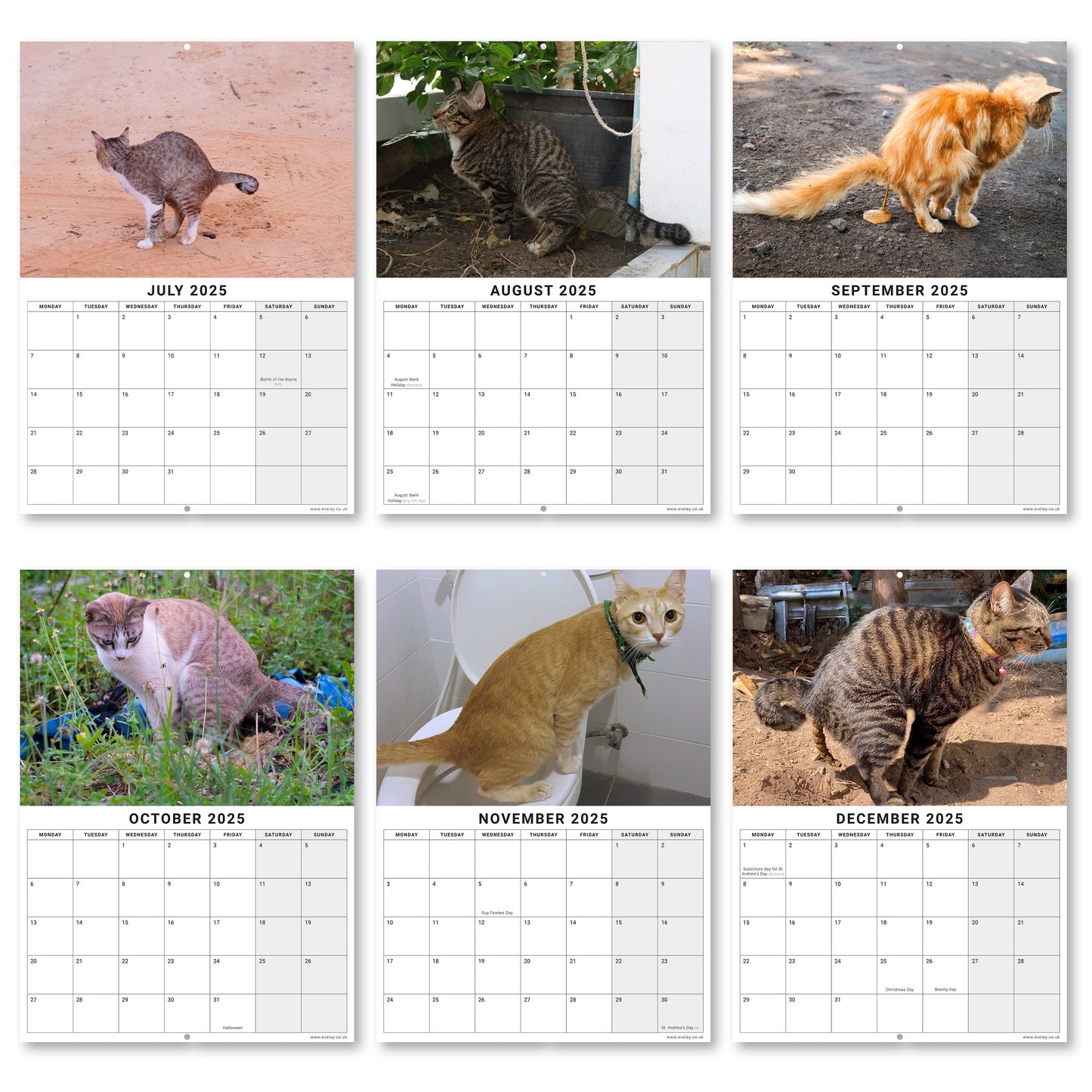 2025 Funny Calendar Pooing Cats Wall Monthly Planner secret santa Staff Rota funny office planner Christmas stocking filler