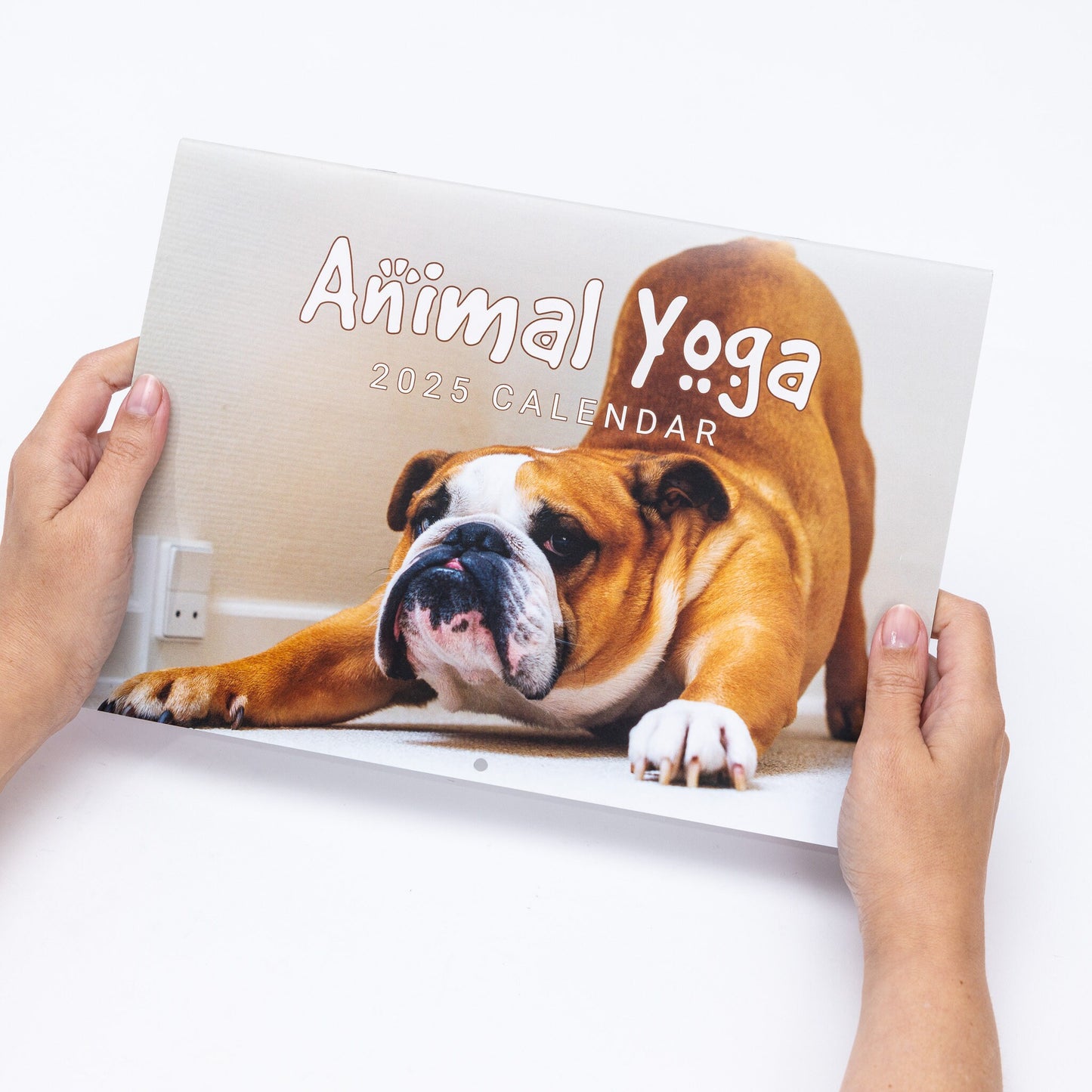 2025 Calendar Animal Yoga Wall Monthly Planner Family Home Organiser Funny
