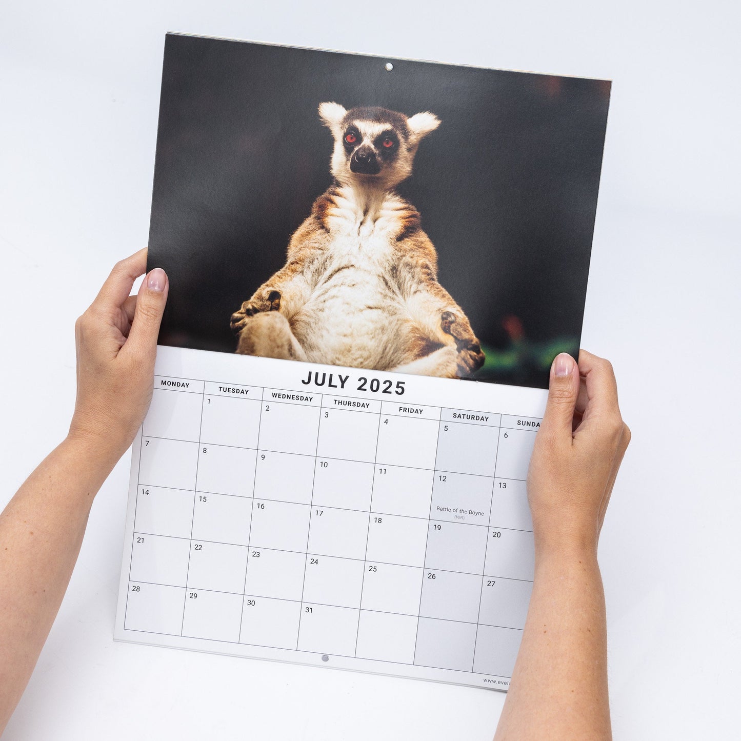 2025 Calendar Animal Yoga Wall Monthly Planner Family Home Organiser Funny