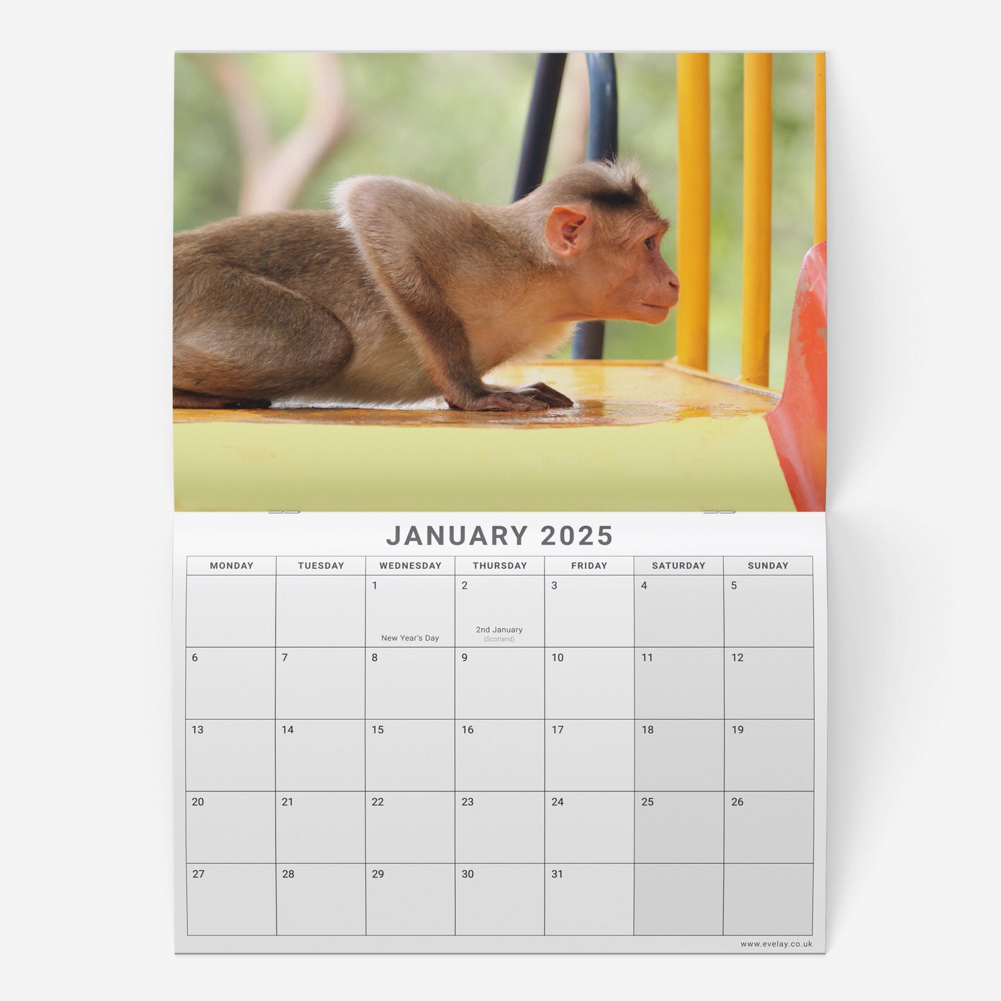 2025 Calendar Animal Yoga Wall Monthly Planner Family Home Organiser Funny