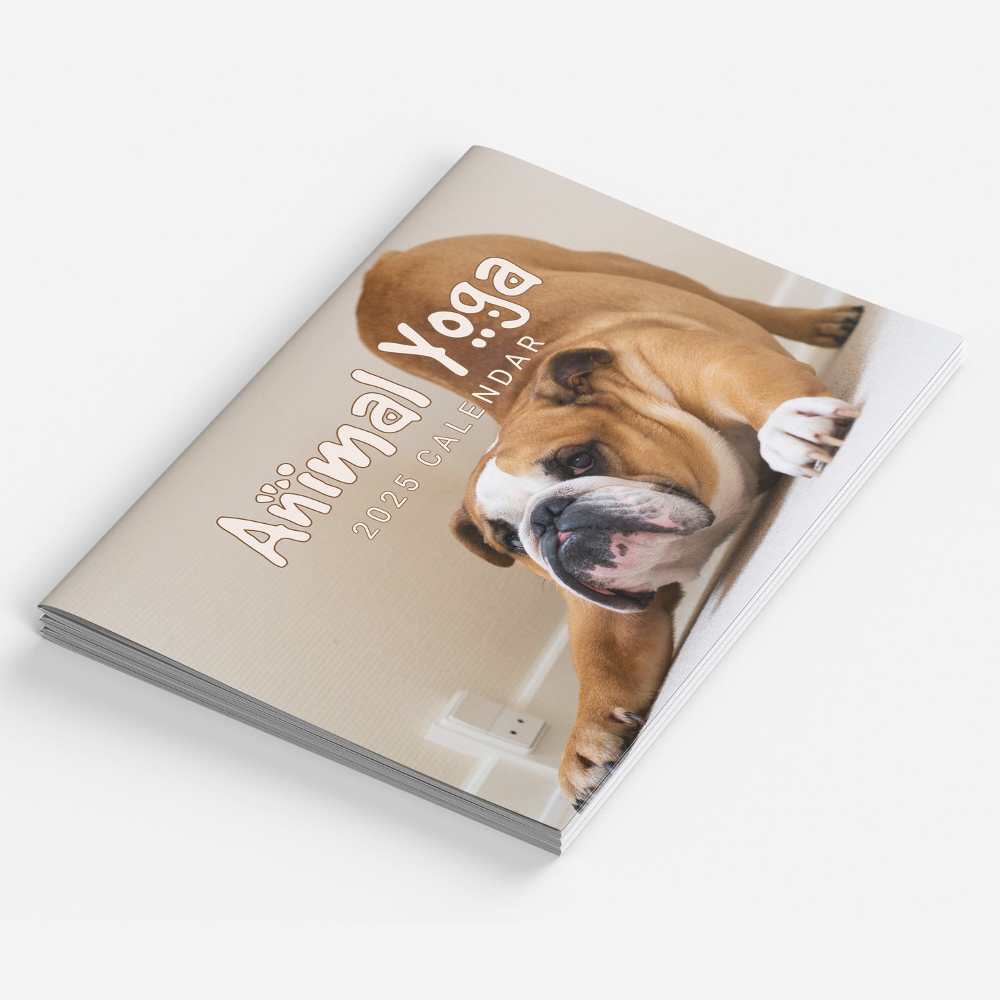 2025 Calendar Animal Yoga Wall Monthly Planner Family Home Organiser Funny