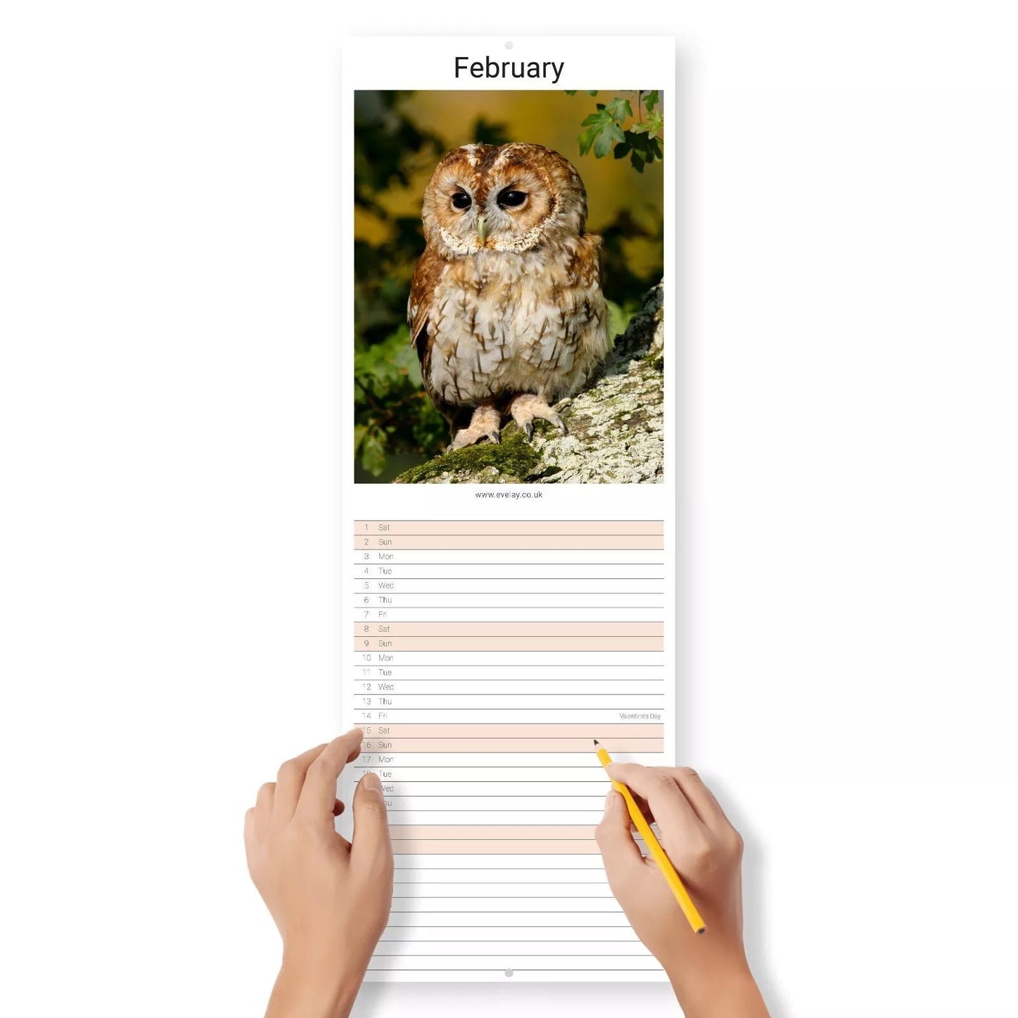 2025 Wildlife Slim Month To View Wall Office Home Planner Organiser Calendar