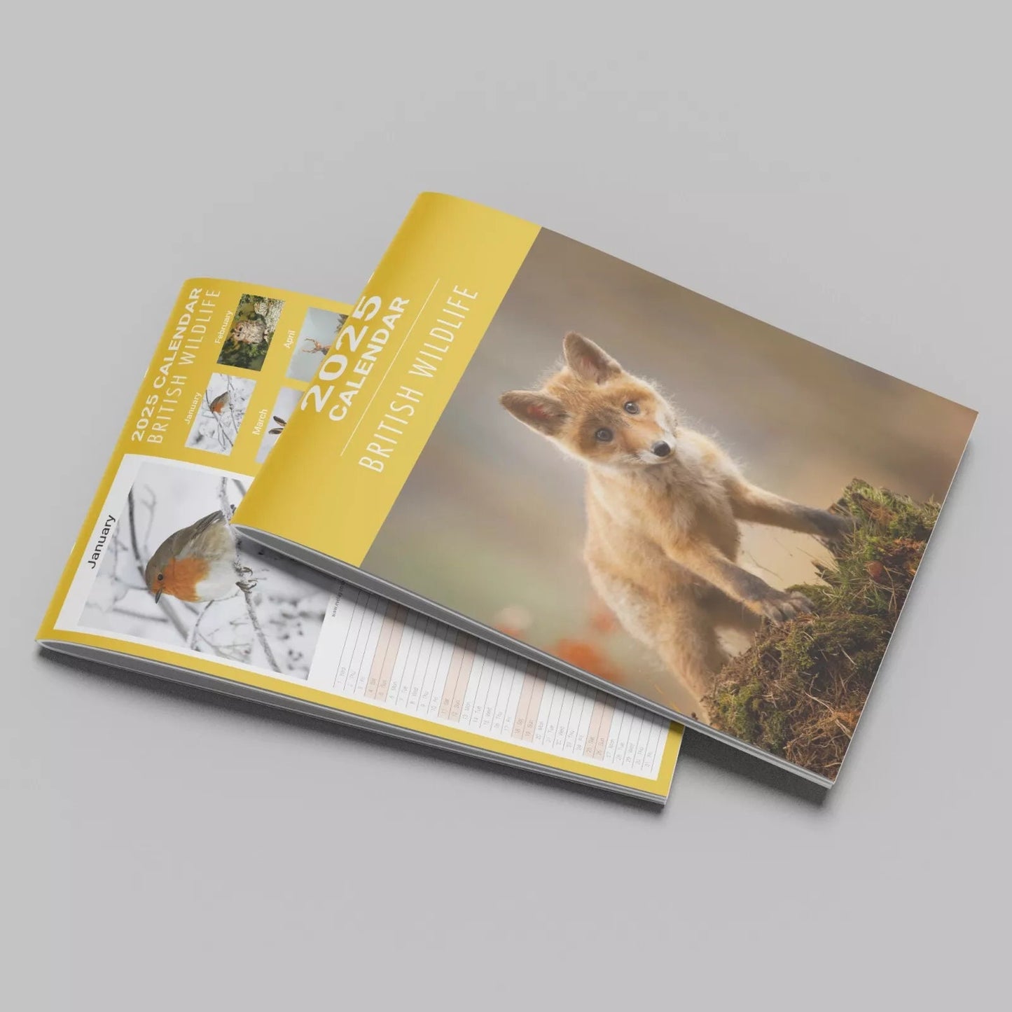 2025 Wildlife Slim Month To View Wall Office Home Planner Organiser Calendar