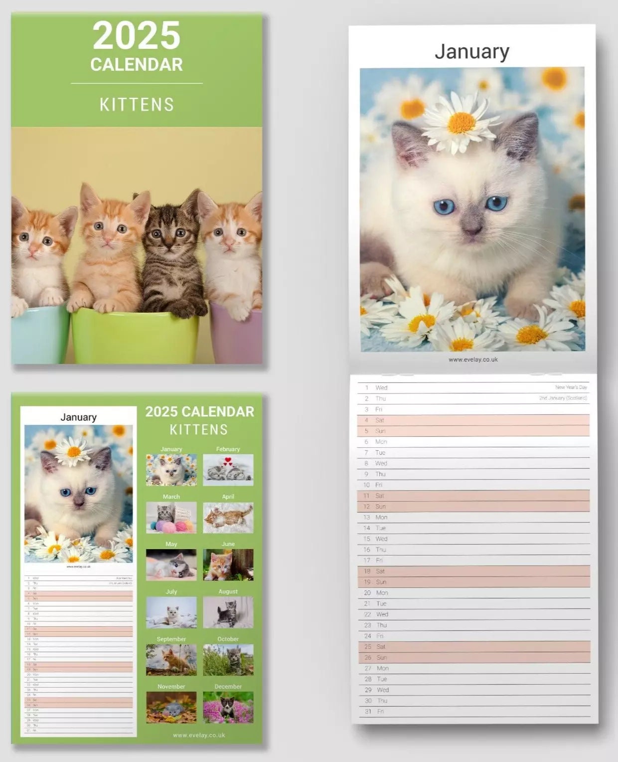 2025 Kittens Cute Slim Month To View Wall Office Home Planner Organiser Calendar