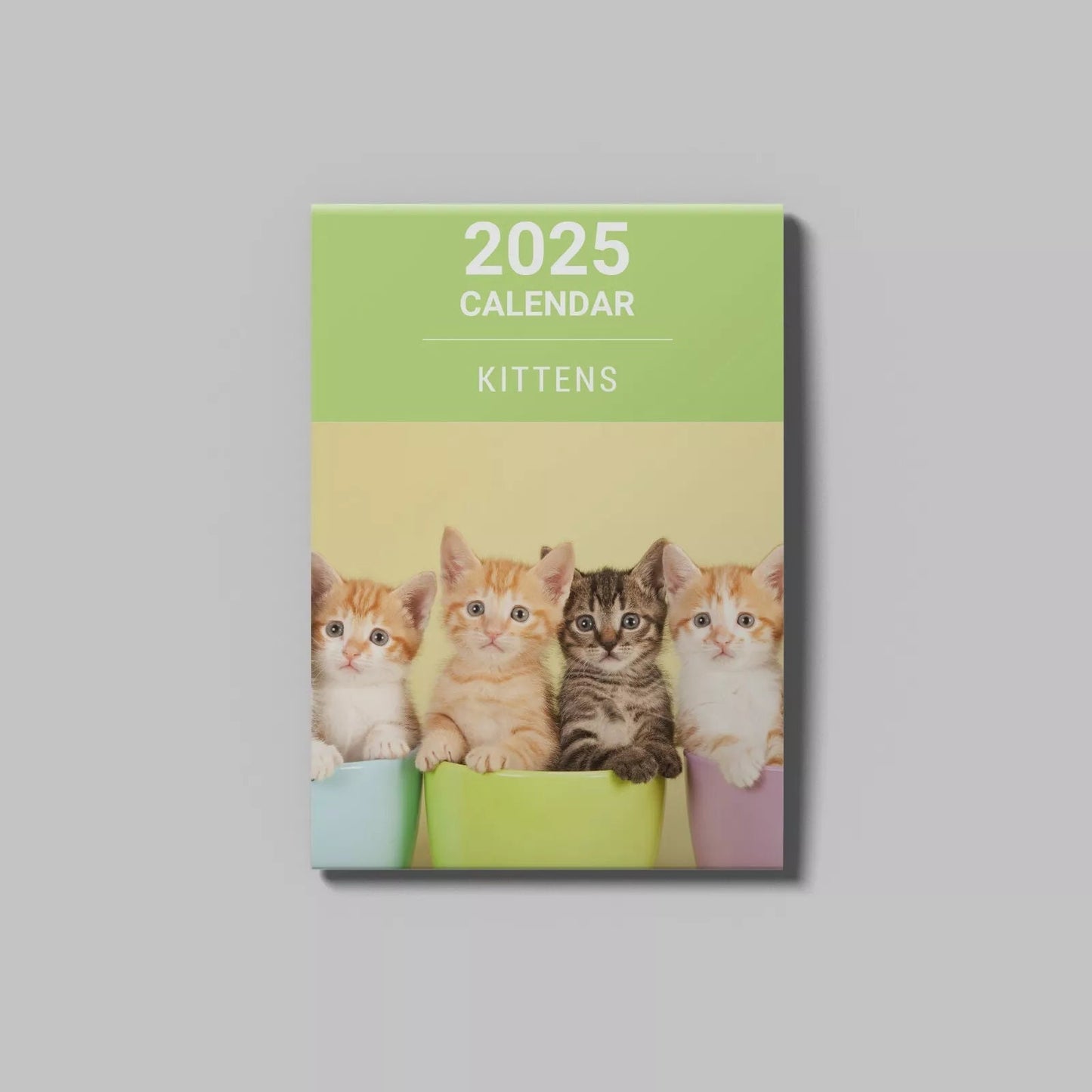 2025 Kittens Cute Slim Month To View Wall Office Home Planner Organiser Calendar