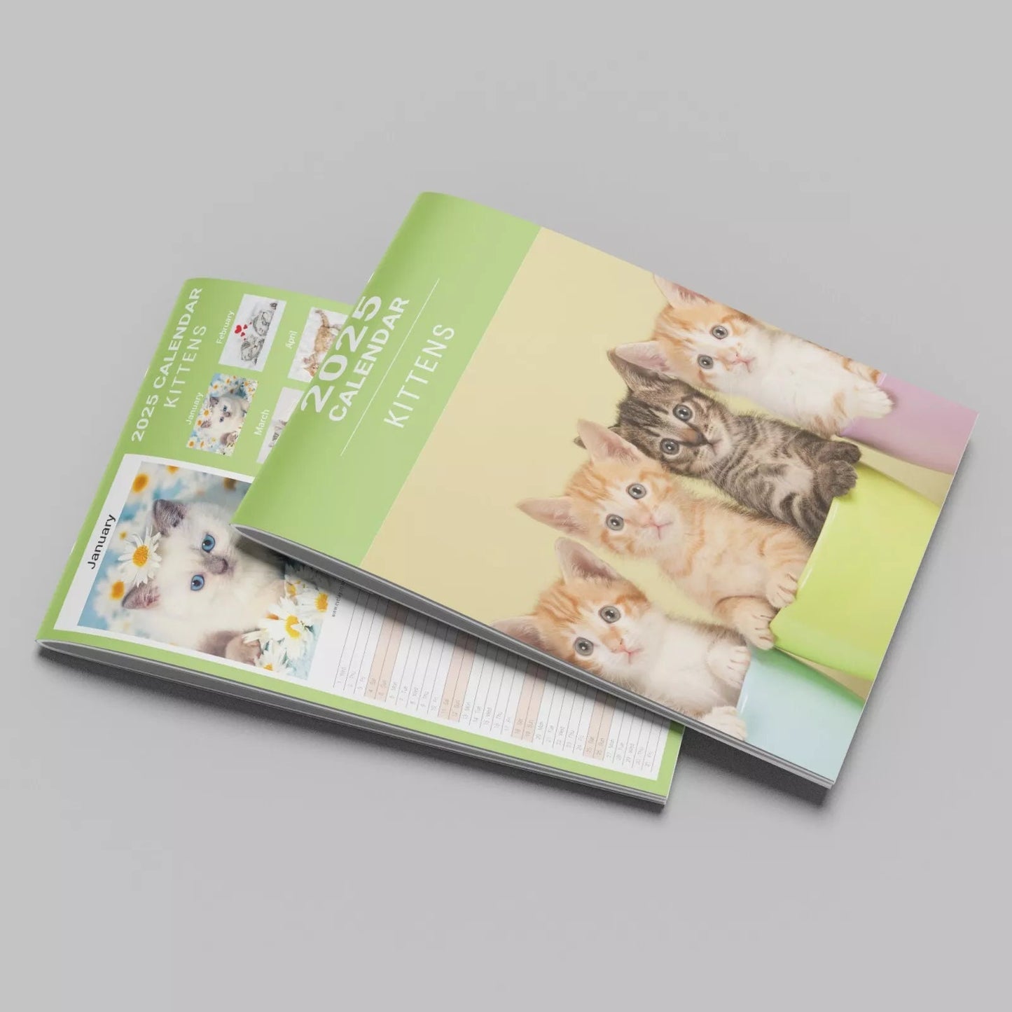 2025 Kittens Cute Slim Month To View Wall Office Home Planner Organiser Calendar