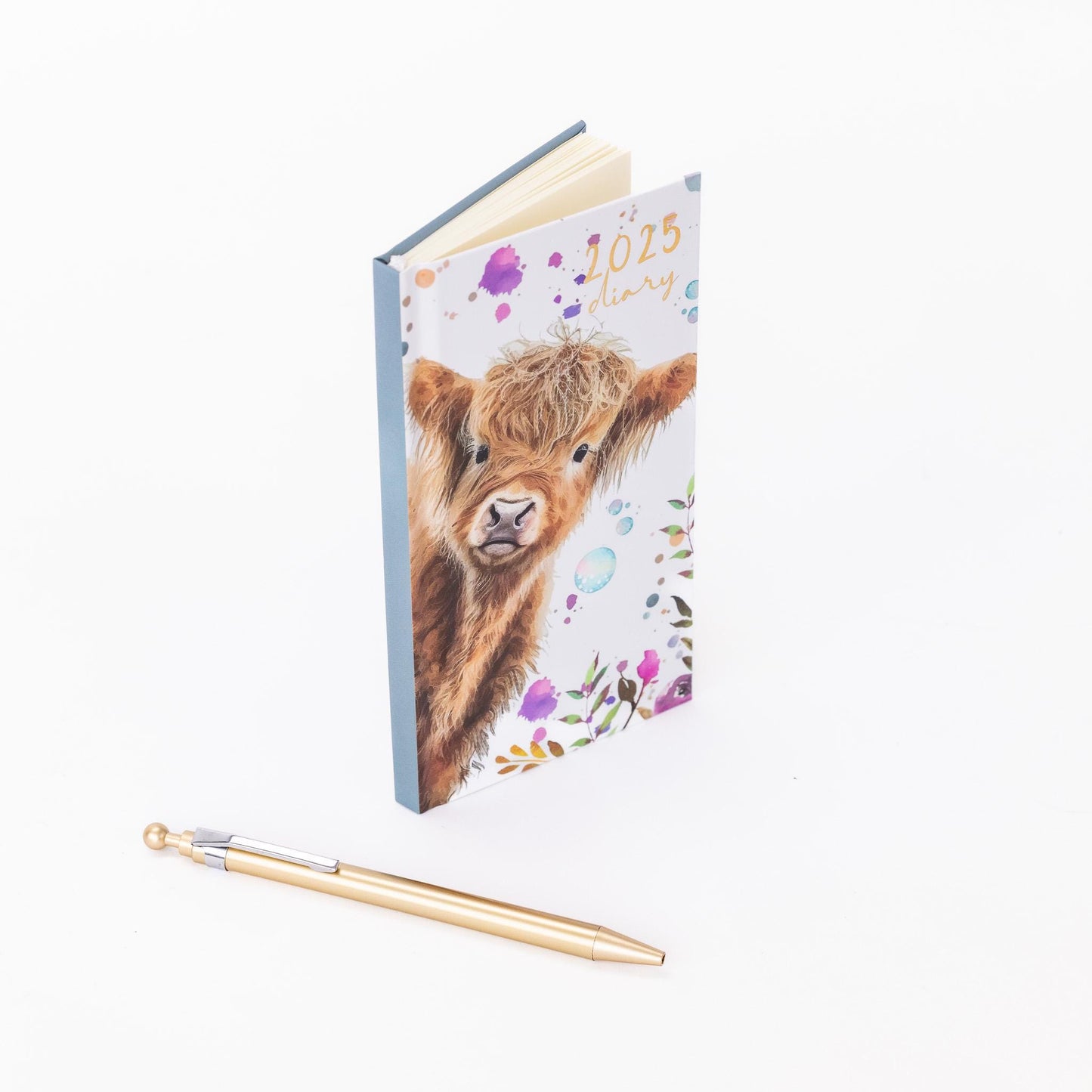 2025 Diary & Pen Slim Size Week to View Diaries Full Year Planner Gift Set Boxed goose