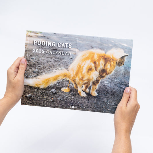 2025 Funny Pooing Cats Calendar: Monthly Wall Planner