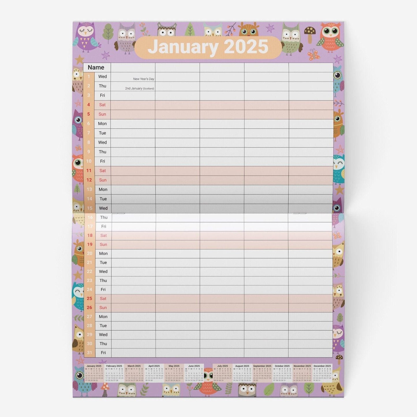 2025 Calendar Wall Monthly Planner Staff Rota Family Organiser Owls